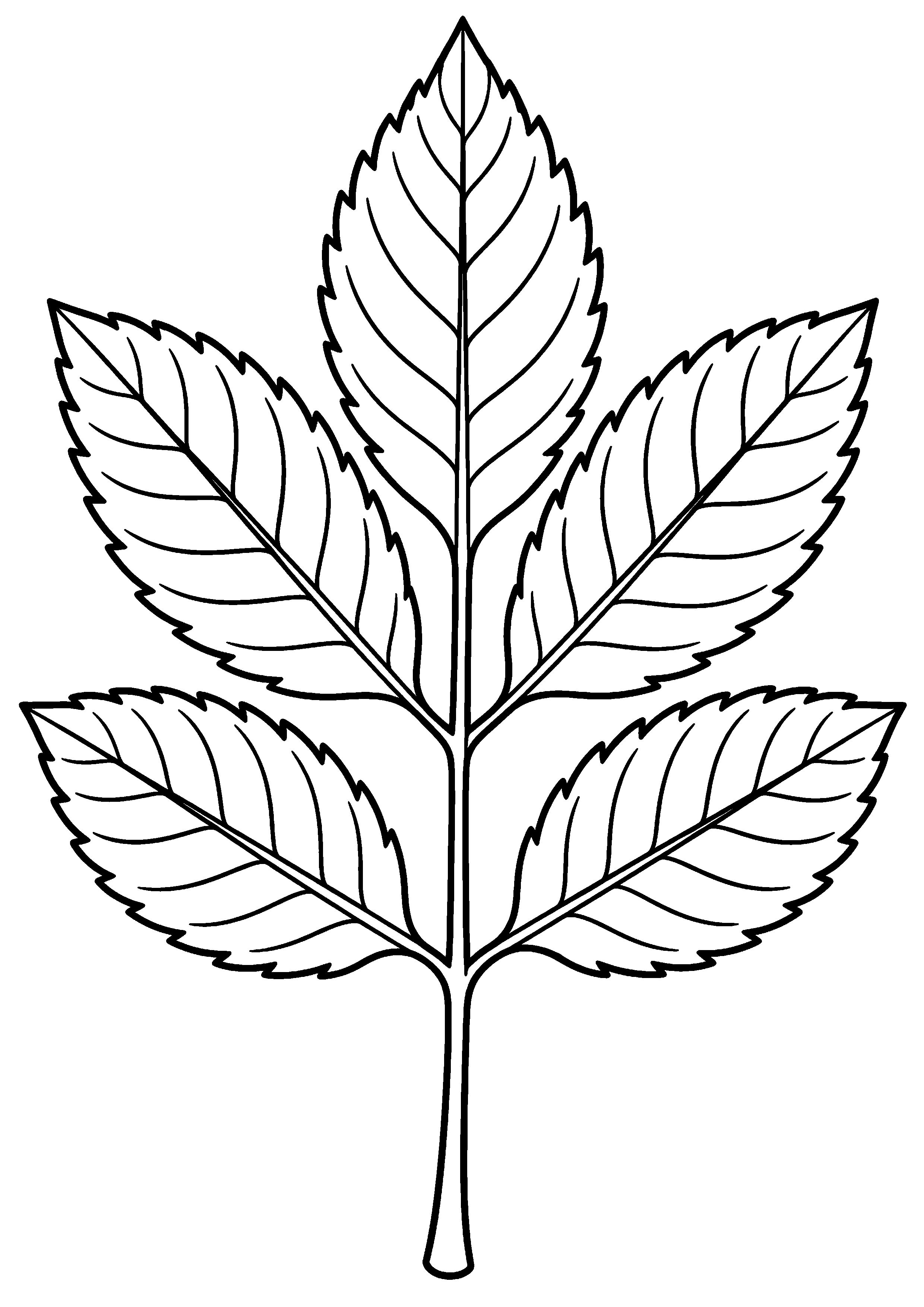 Grande feuille composée de frêne à sept folioles à colorier