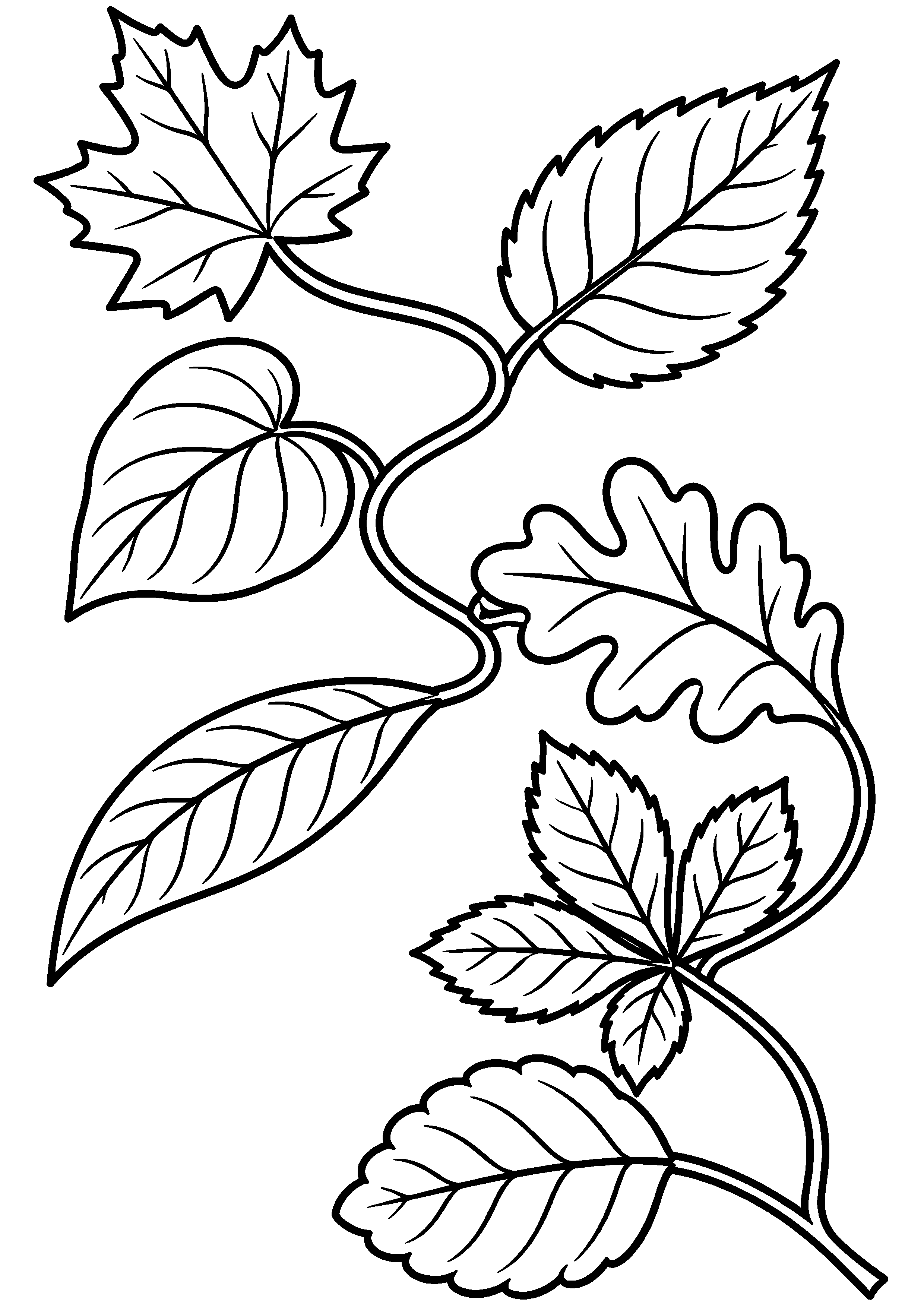 Guirlande ondulante de grandes feuilles d'automne à colorier