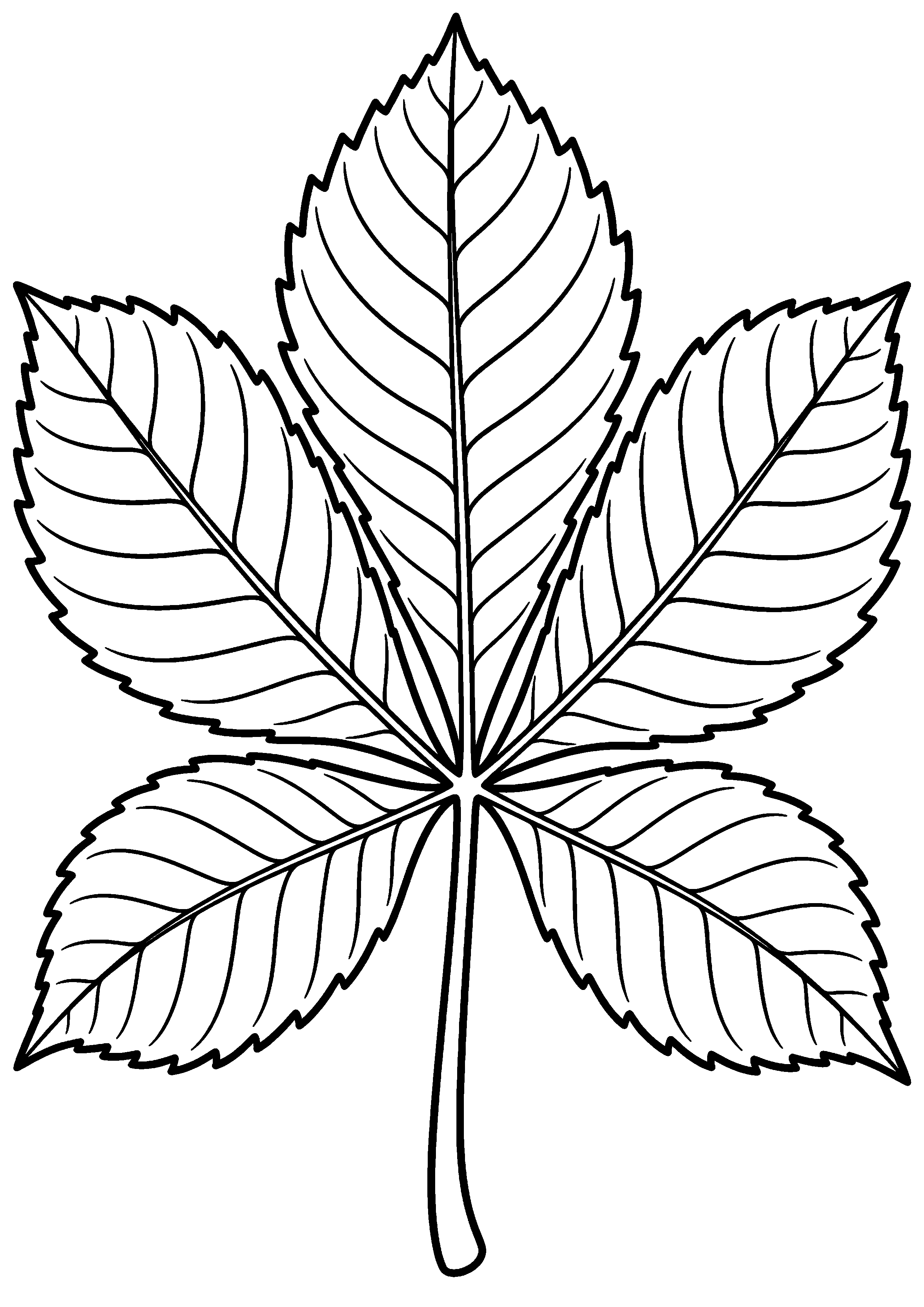 Feuille de marronnier à cinq grandes folioles à colorier