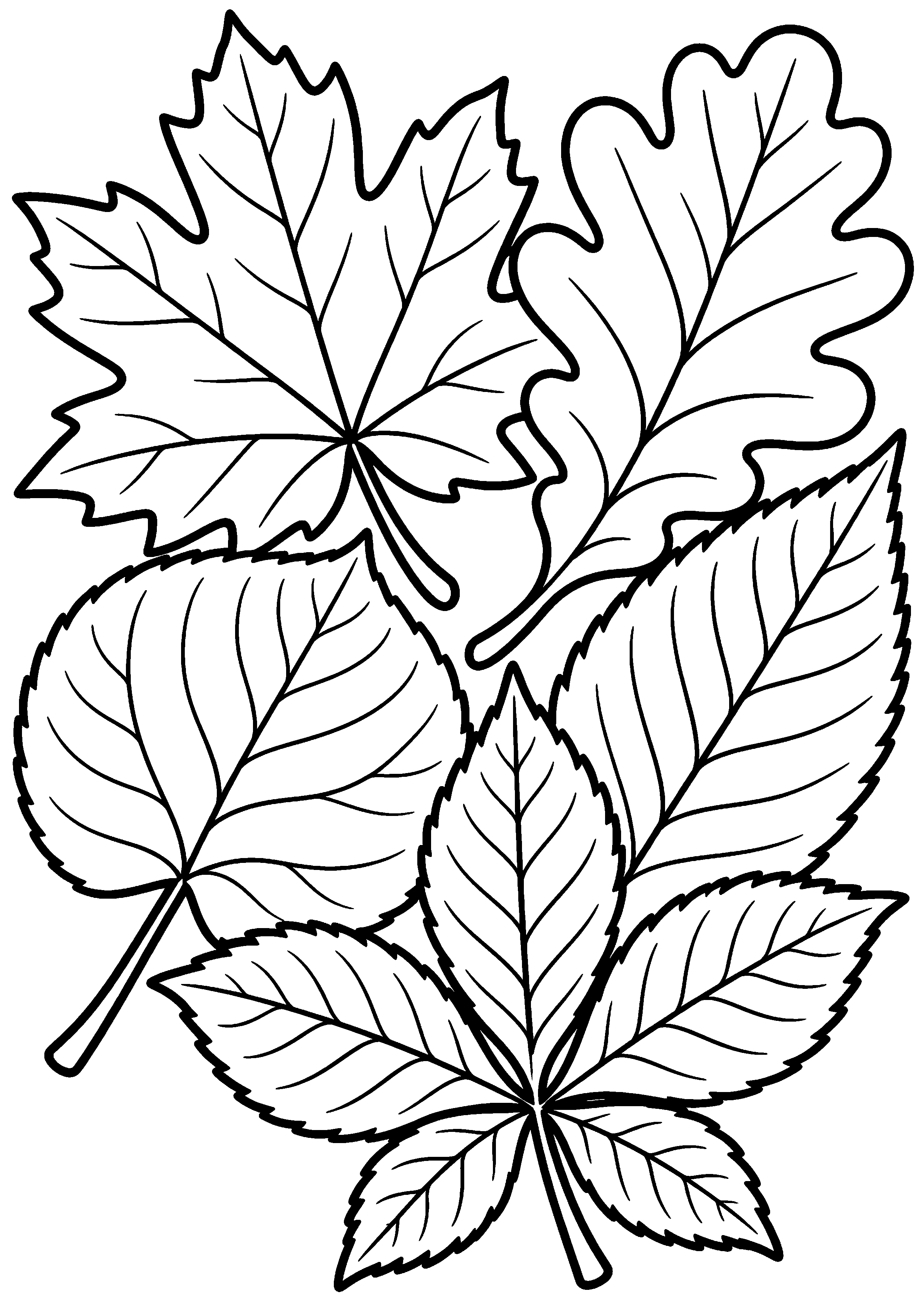 Cinq grandes feuilles imbriquées en mosaïque à colorier