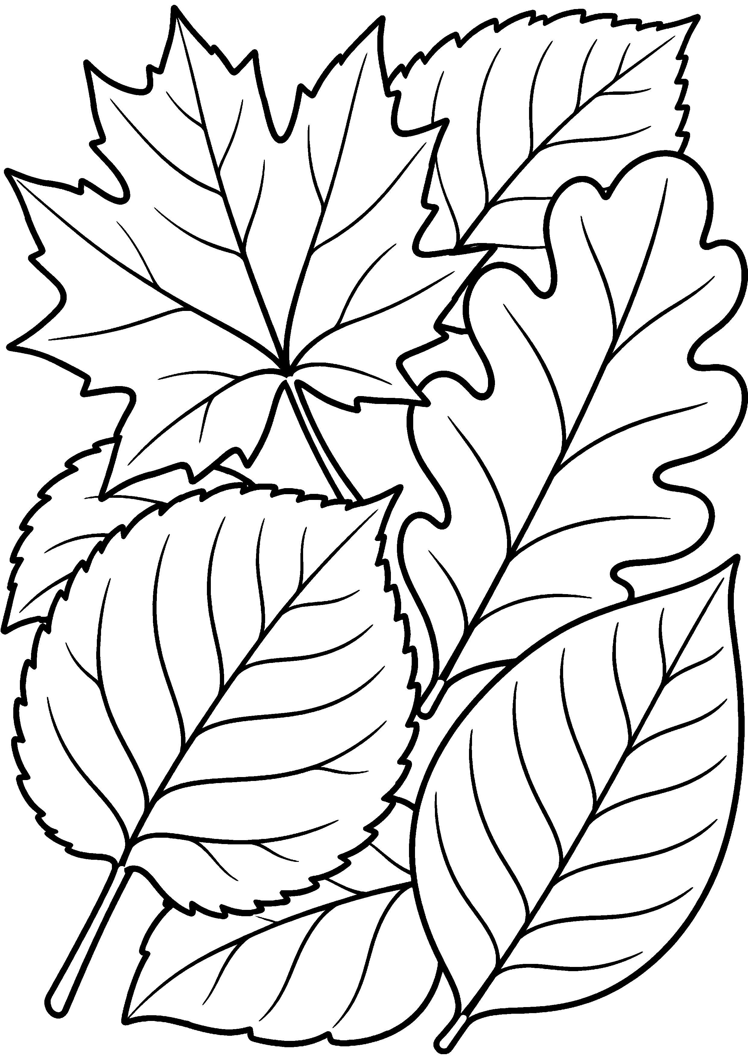Tapis composé de grandes feuilles superposées à colorier