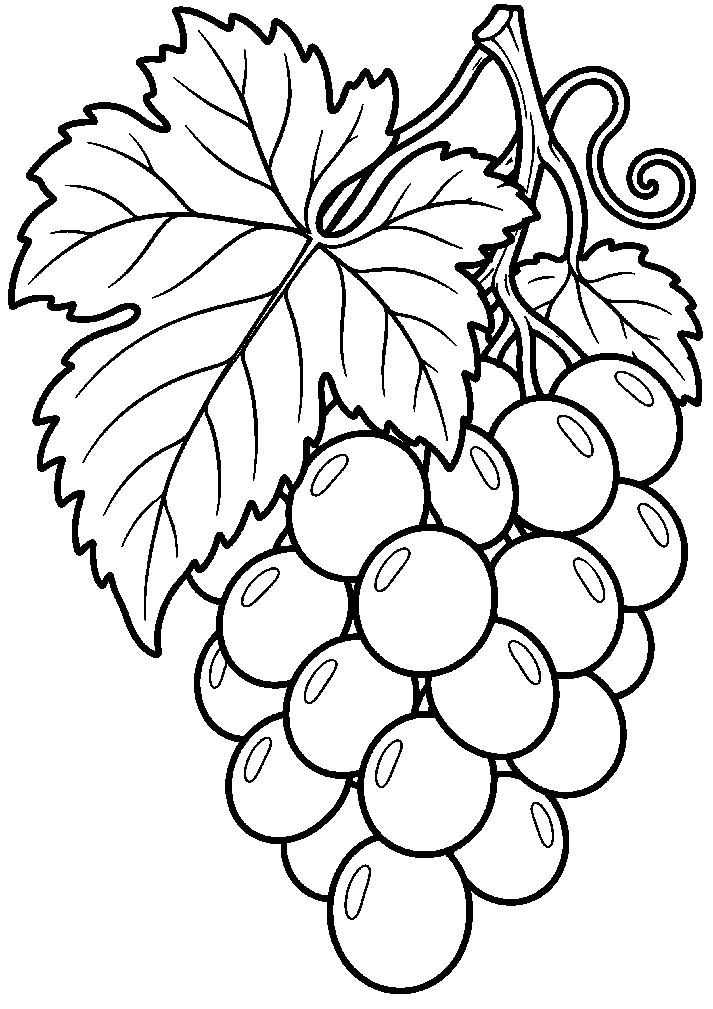 Grande feuille de vigne avec grappe de raisin à colorier