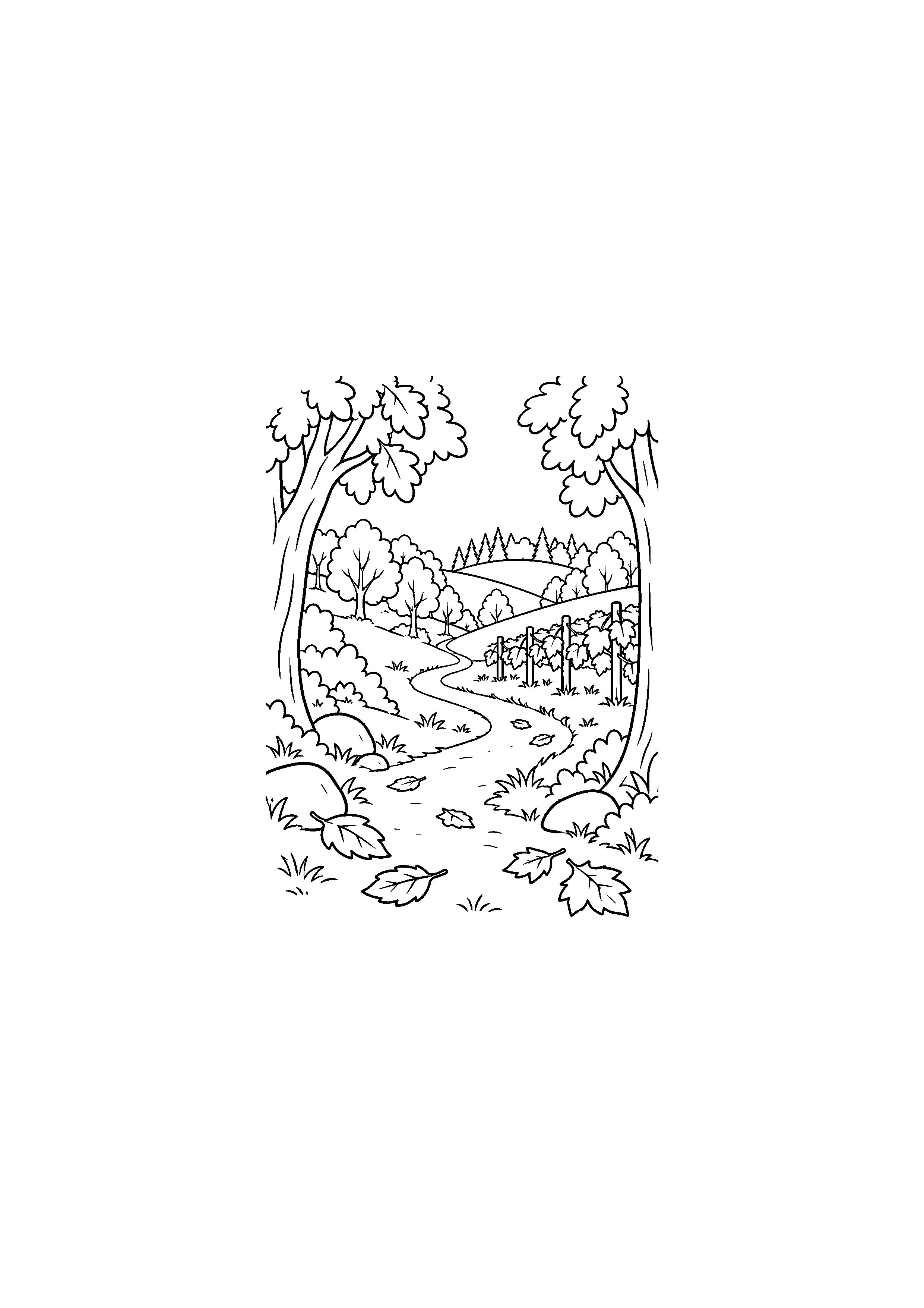 Coloriage noir et blanc représentant colline forestière et sentier en forêt d'automne