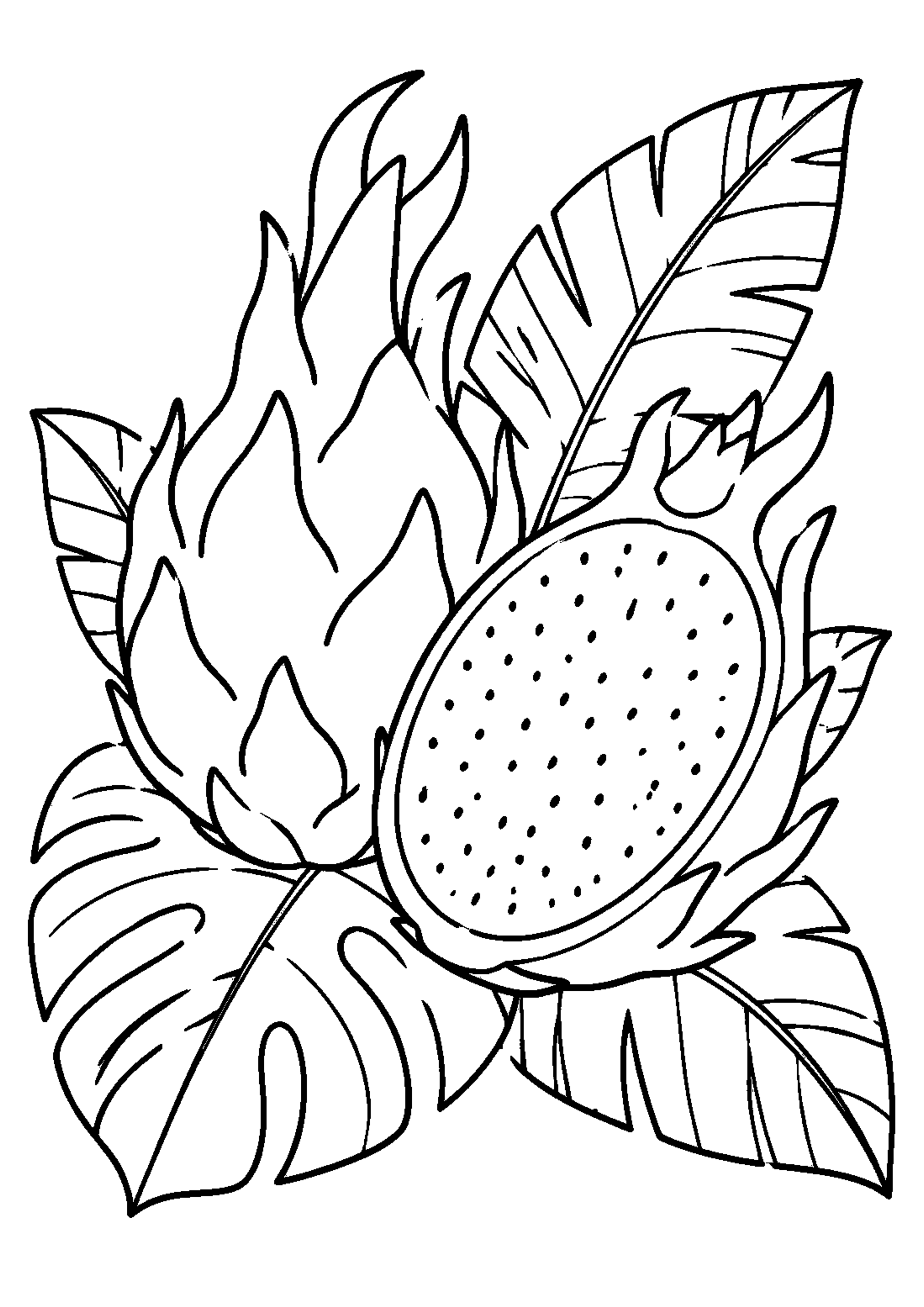 Coloriage Fruits exotiques à imprimer – dessin 1