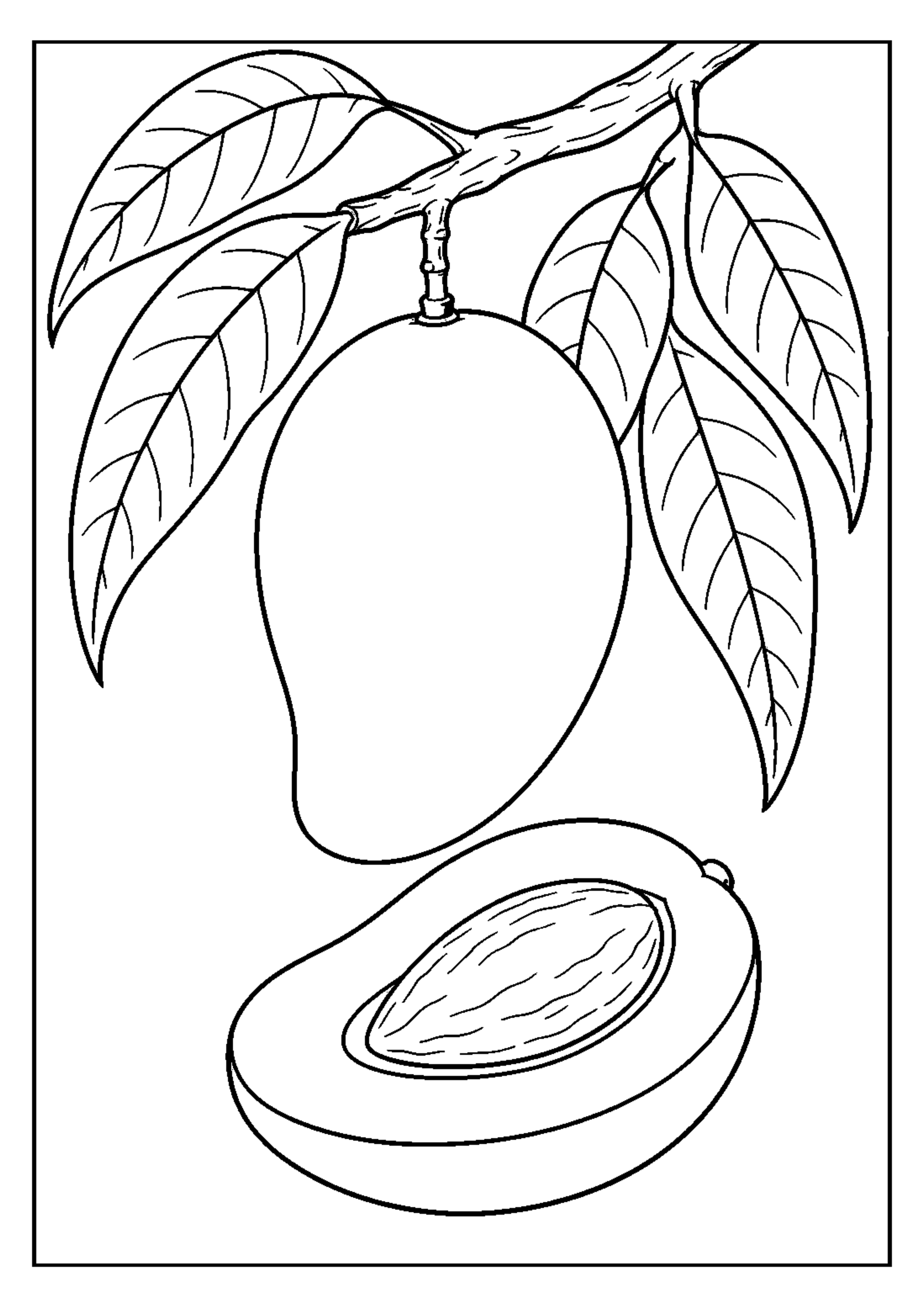 Coloriage Fruits exotiques à imprimer – dessin 3