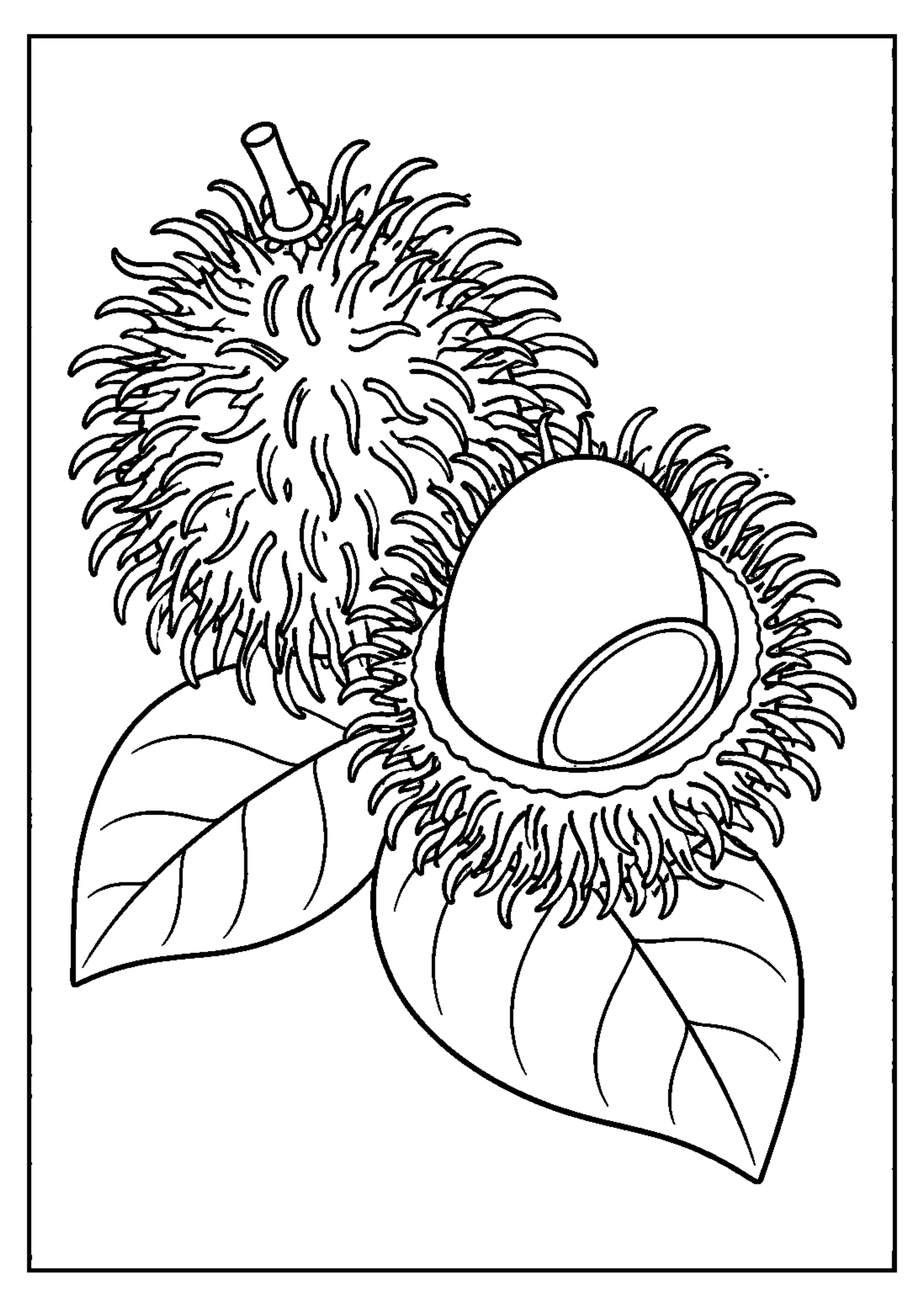 Coloriage Fruits exotiques à imprimer – dessin n°5