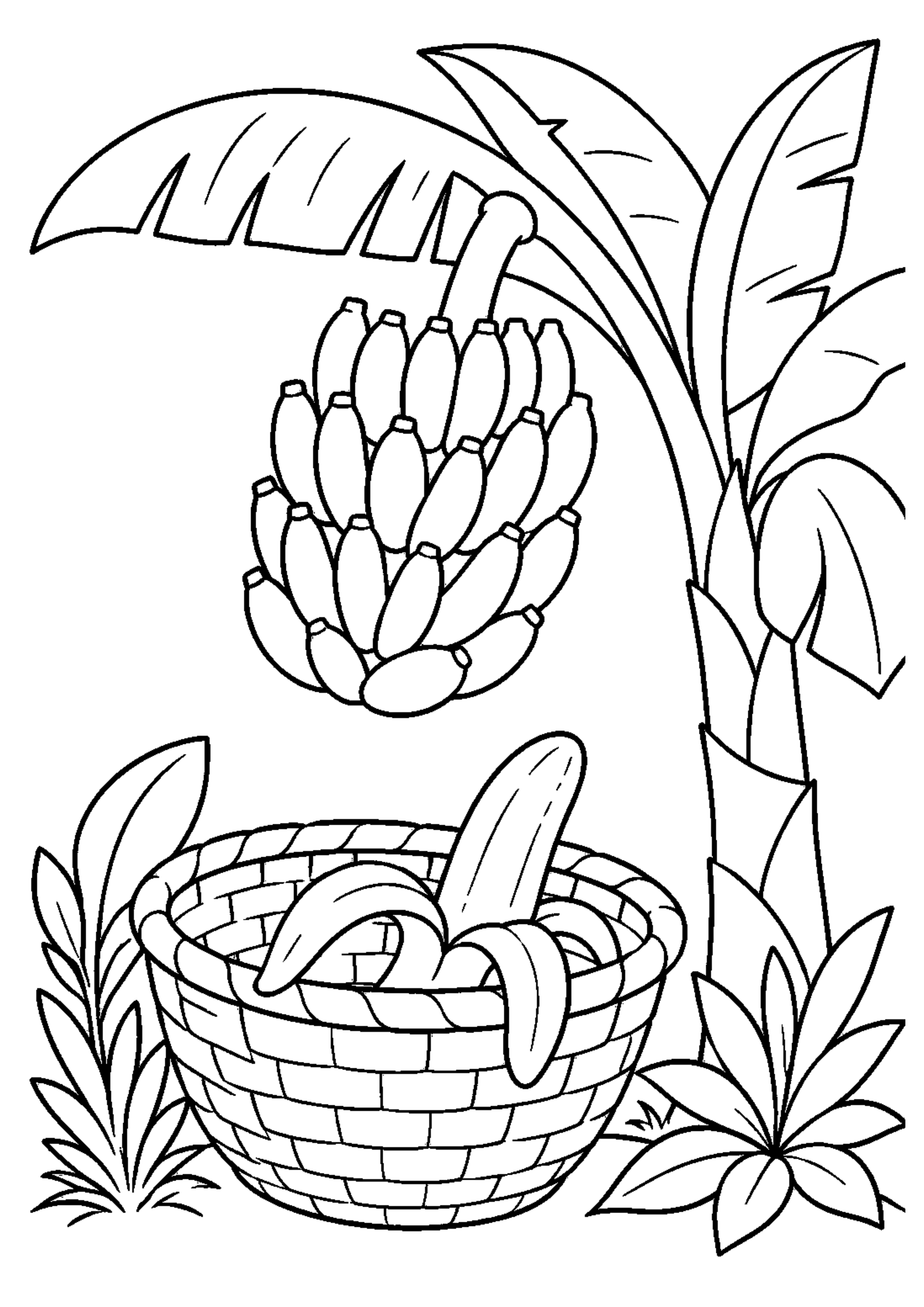 Coloriage Fruits exotiques à imprimer – dessin n°6