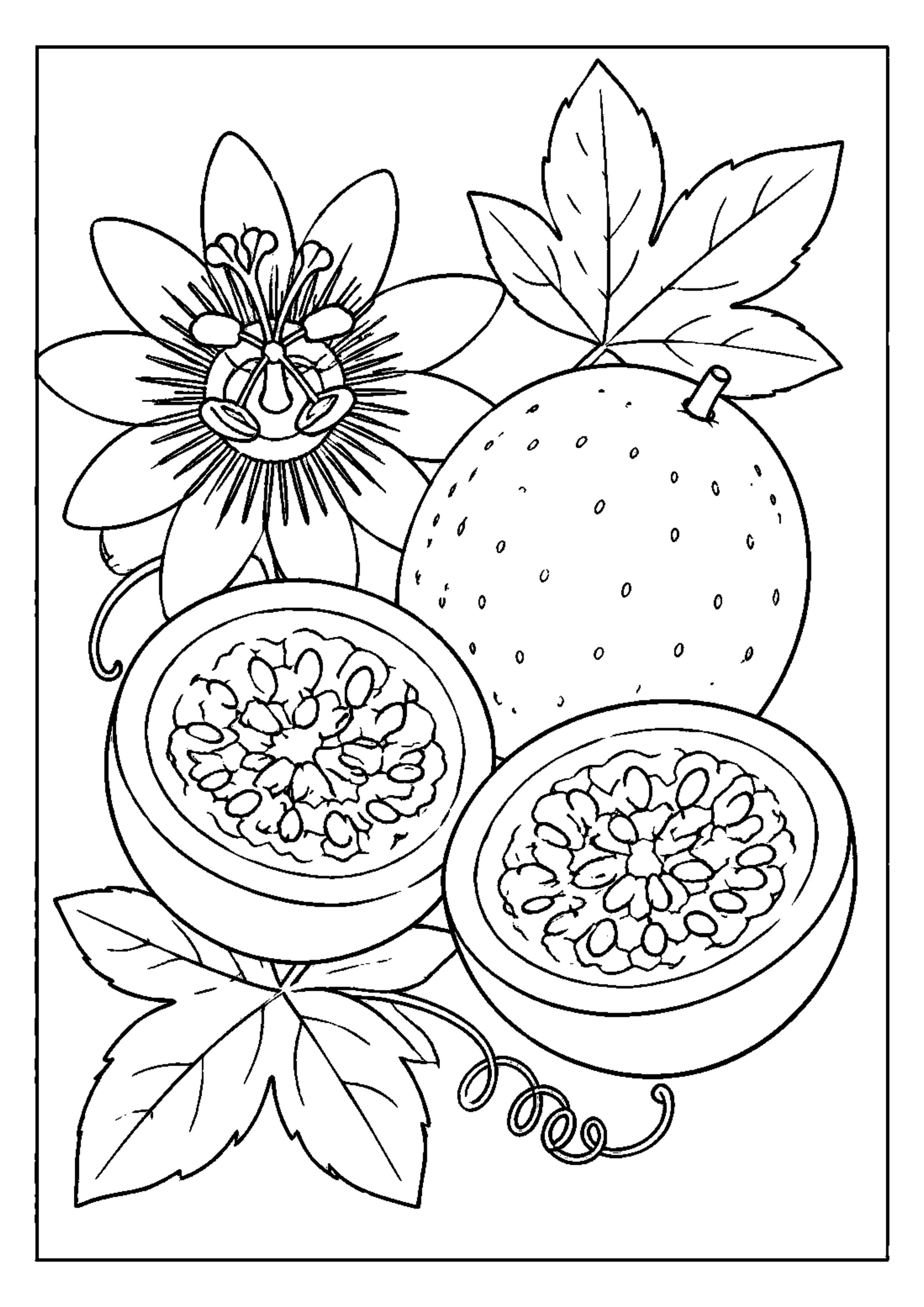 Coloriage Fruits exotiques à imprimer – dessin n°7