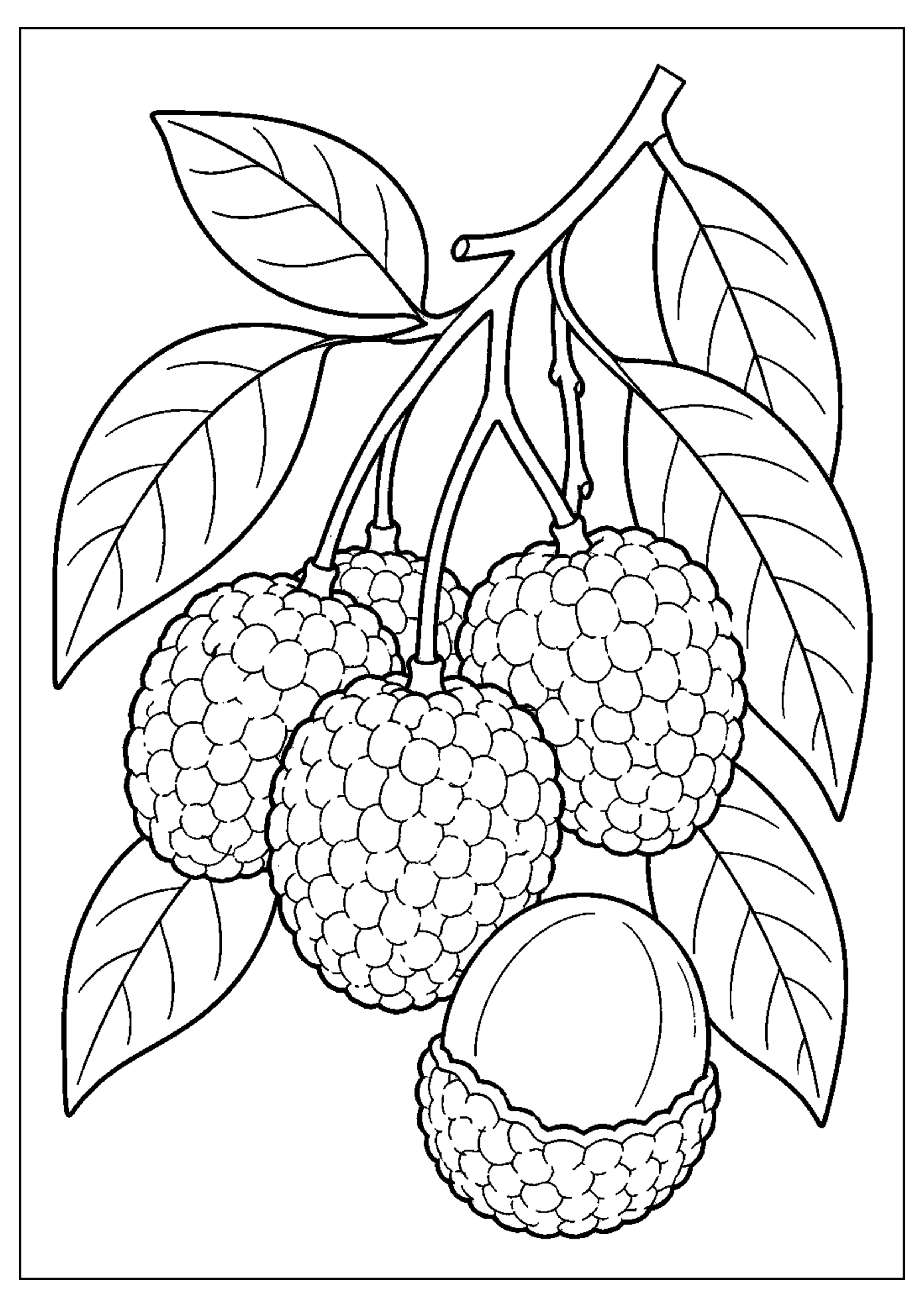 Coloriage Fruits exotiques à imprimer – dessin n°8