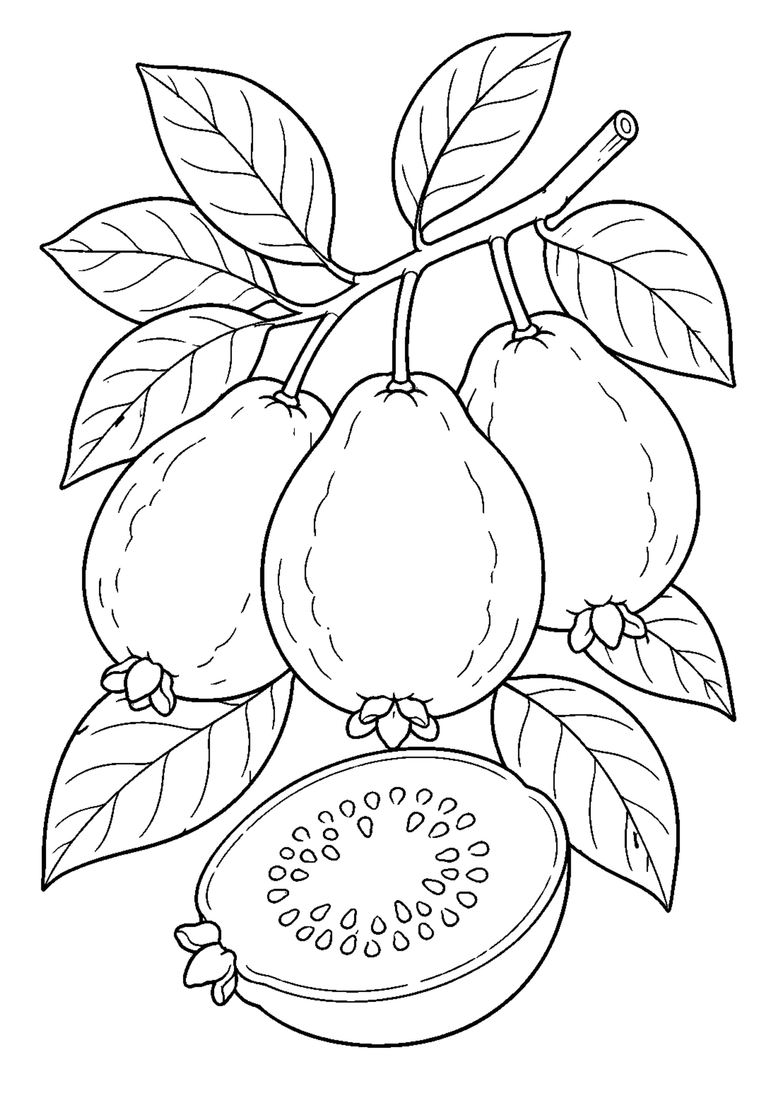 Coloriage Fruits exotiques à imprimer – dessin n°10