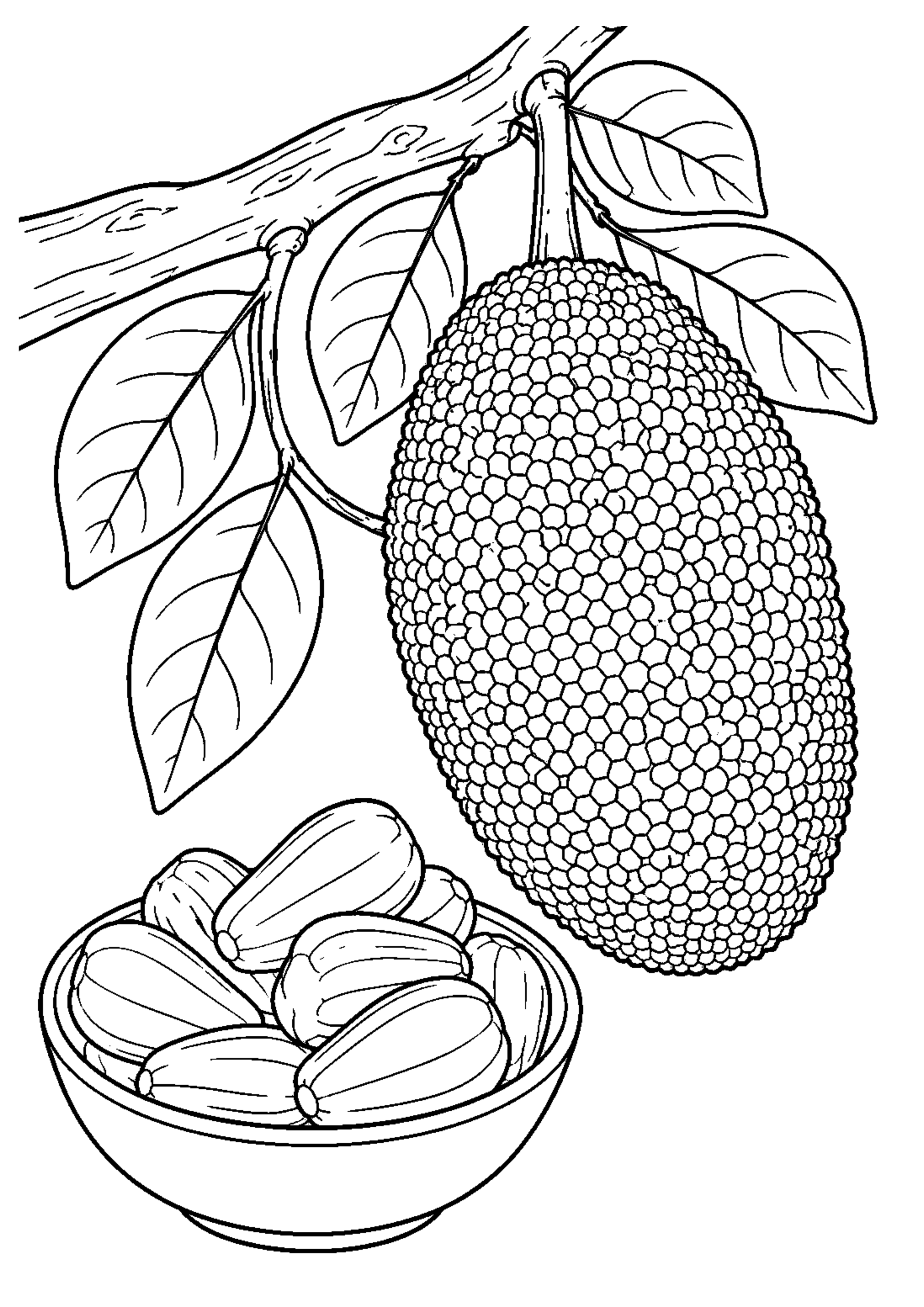 Coloriage Fruits exotiques à imprimer – dessin n°15