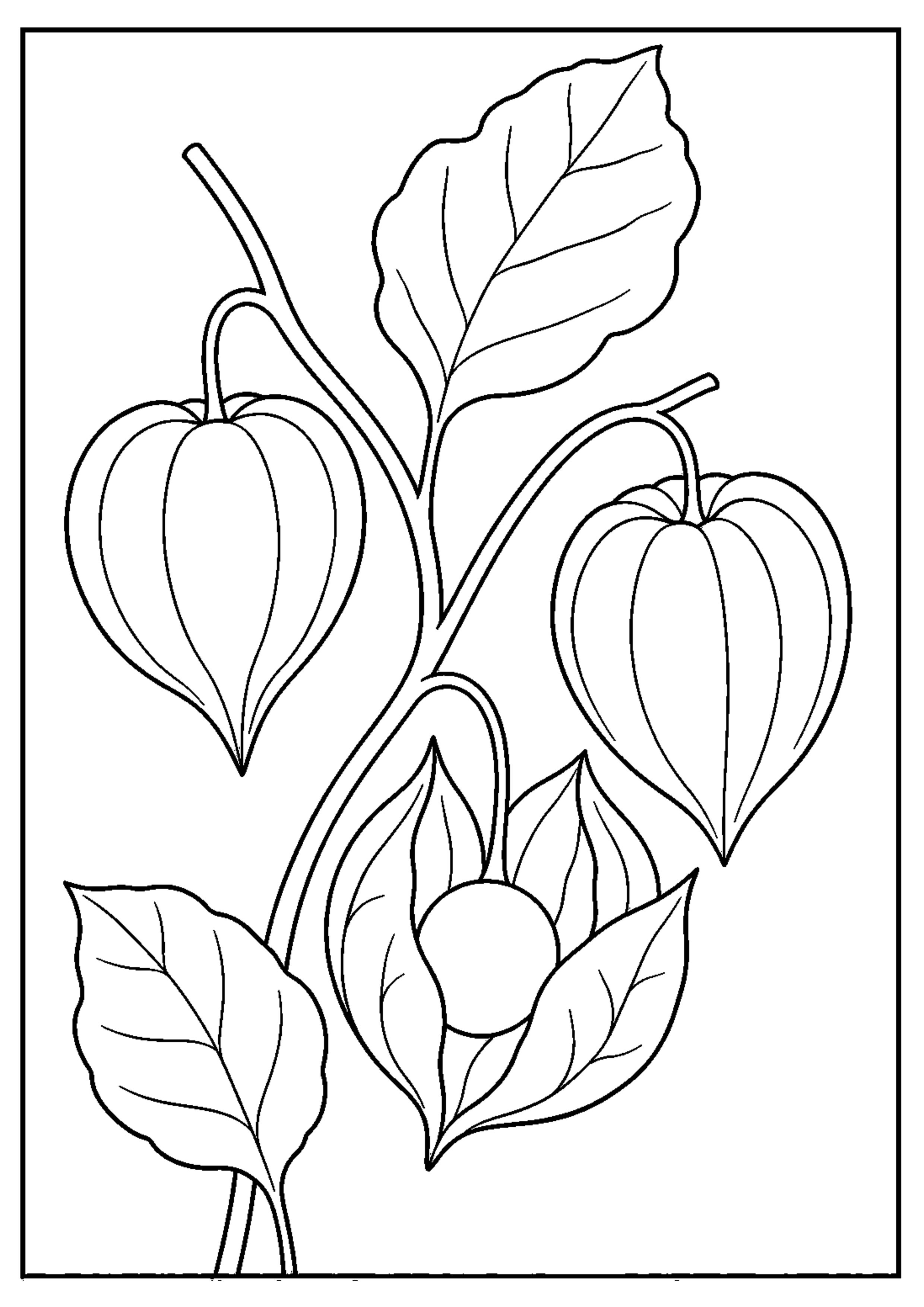 Coloriage Fruits exotiques à imprimer – dessin n°16