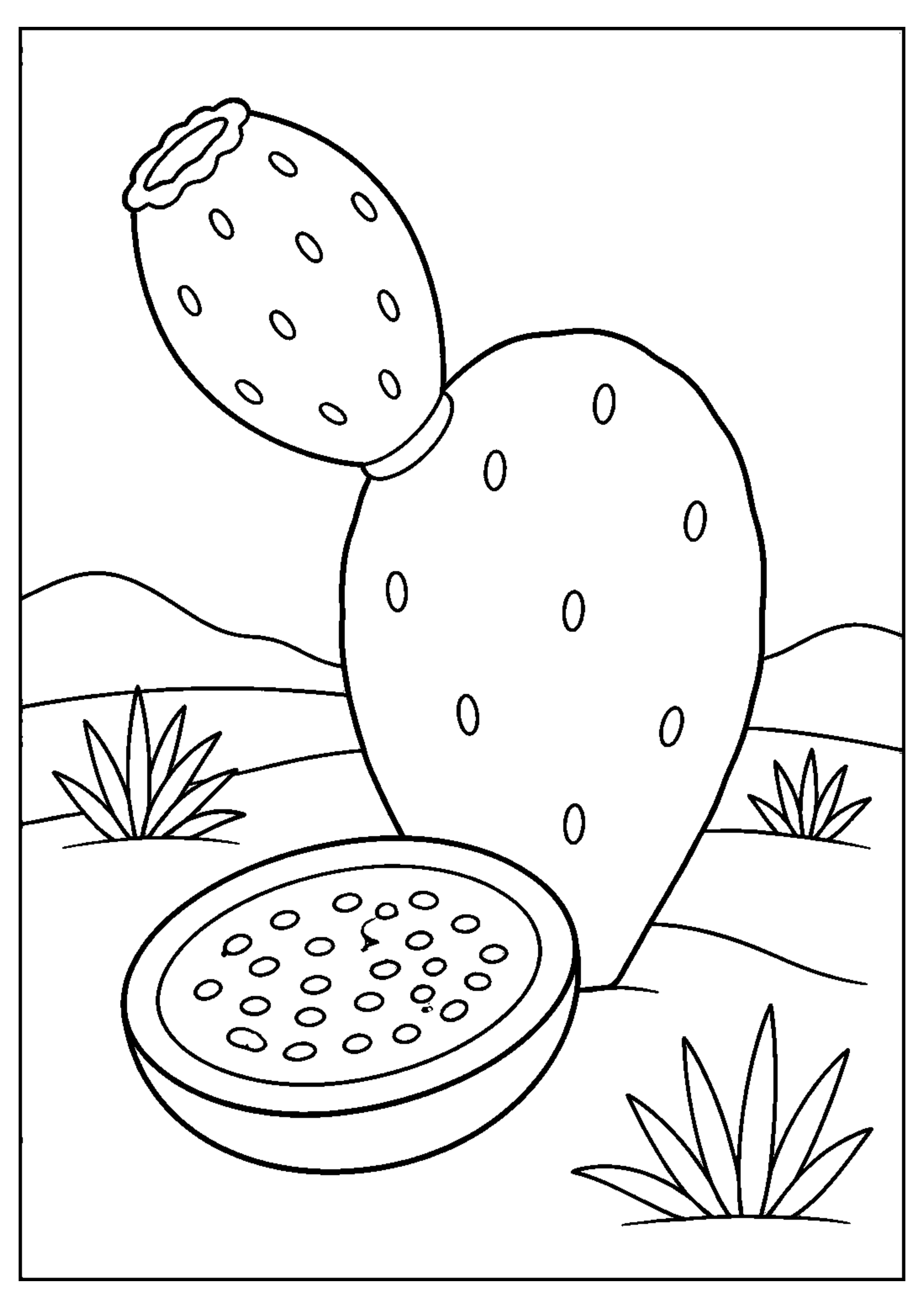 Coloriage Fruits exotiques à imprimer – dessin n°19