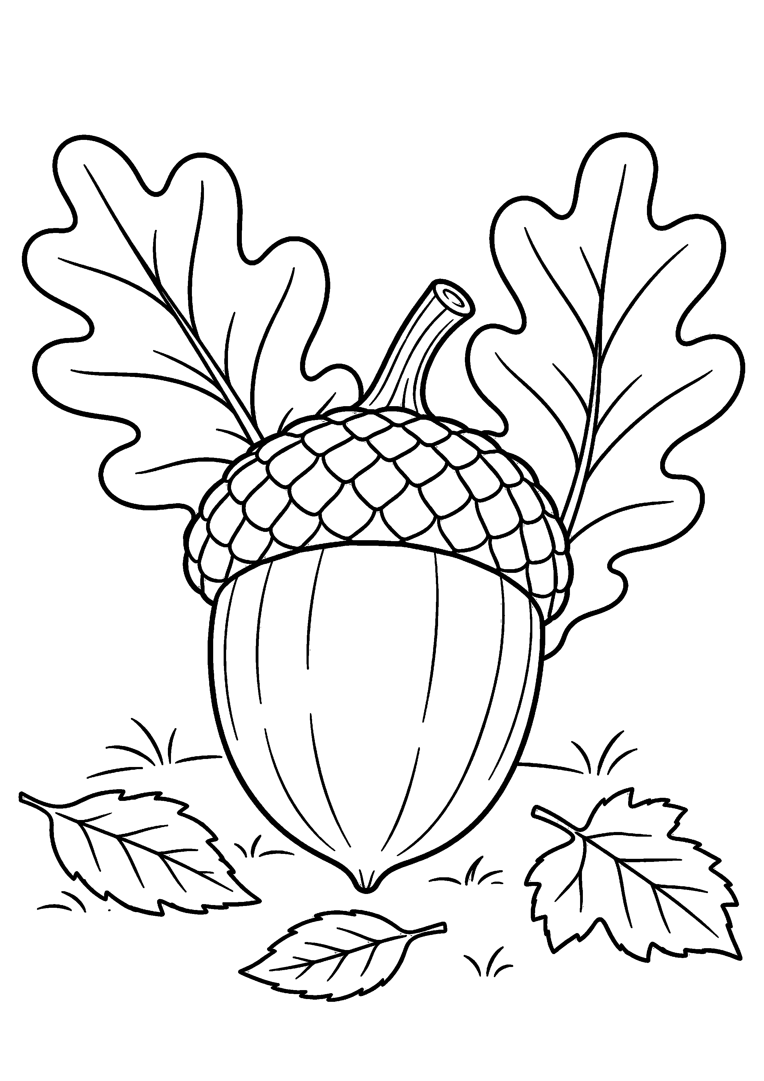 Coloriage Glands