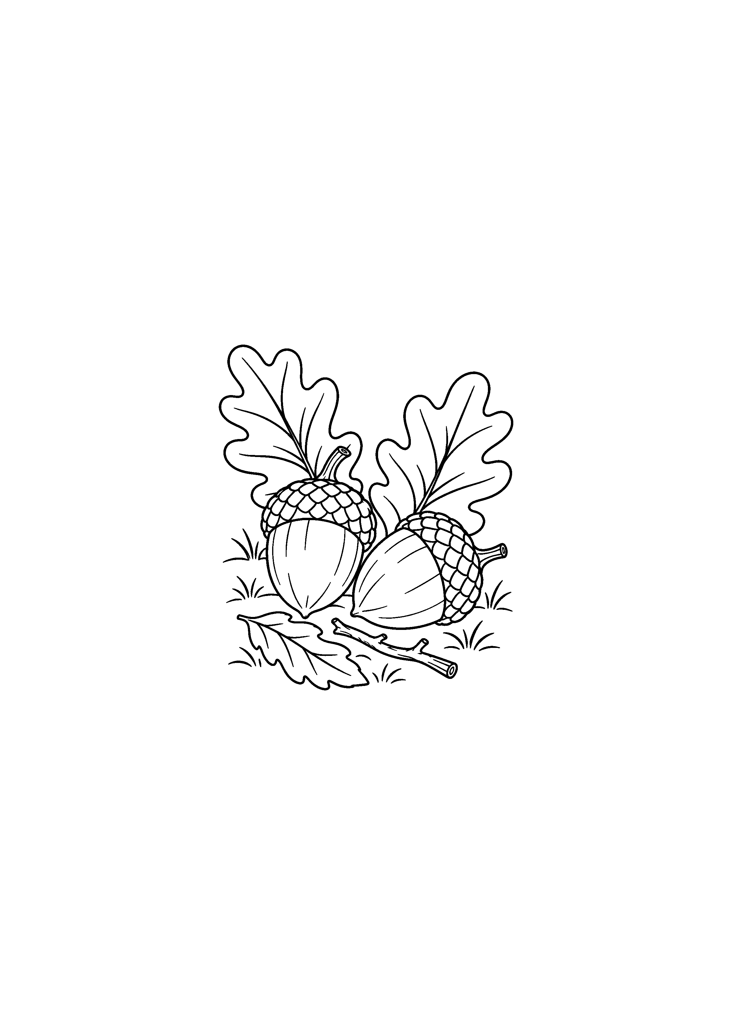 Coloriage composition naturelle de glands et feuilles de chêne à imprimer