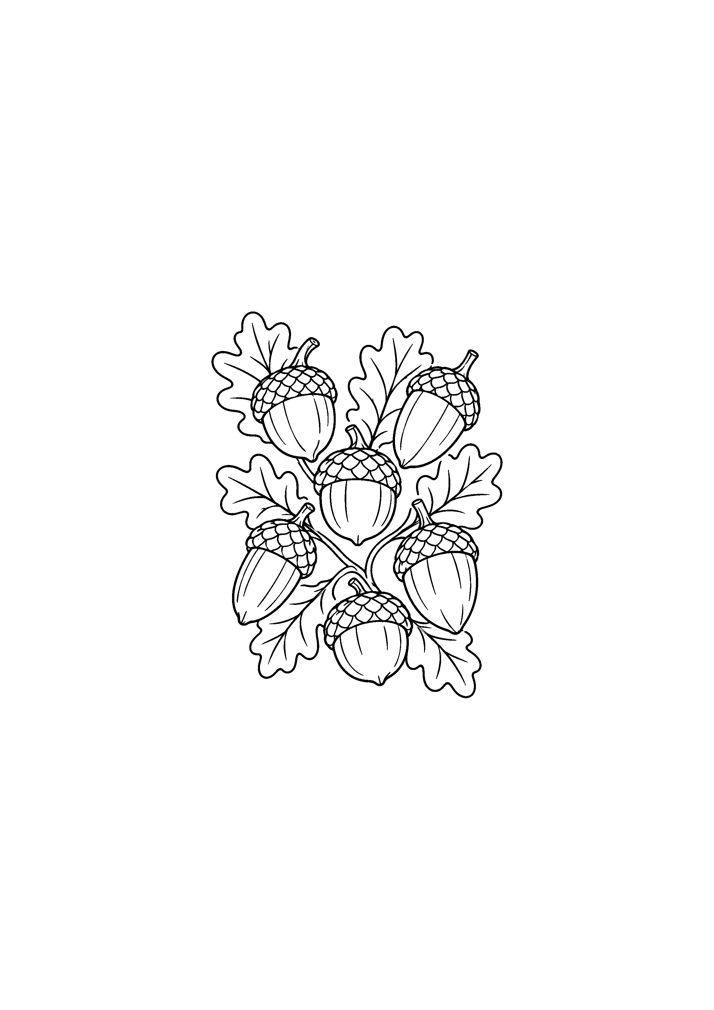 Coloriage différentes formes de glands et feuilles à imprimer
