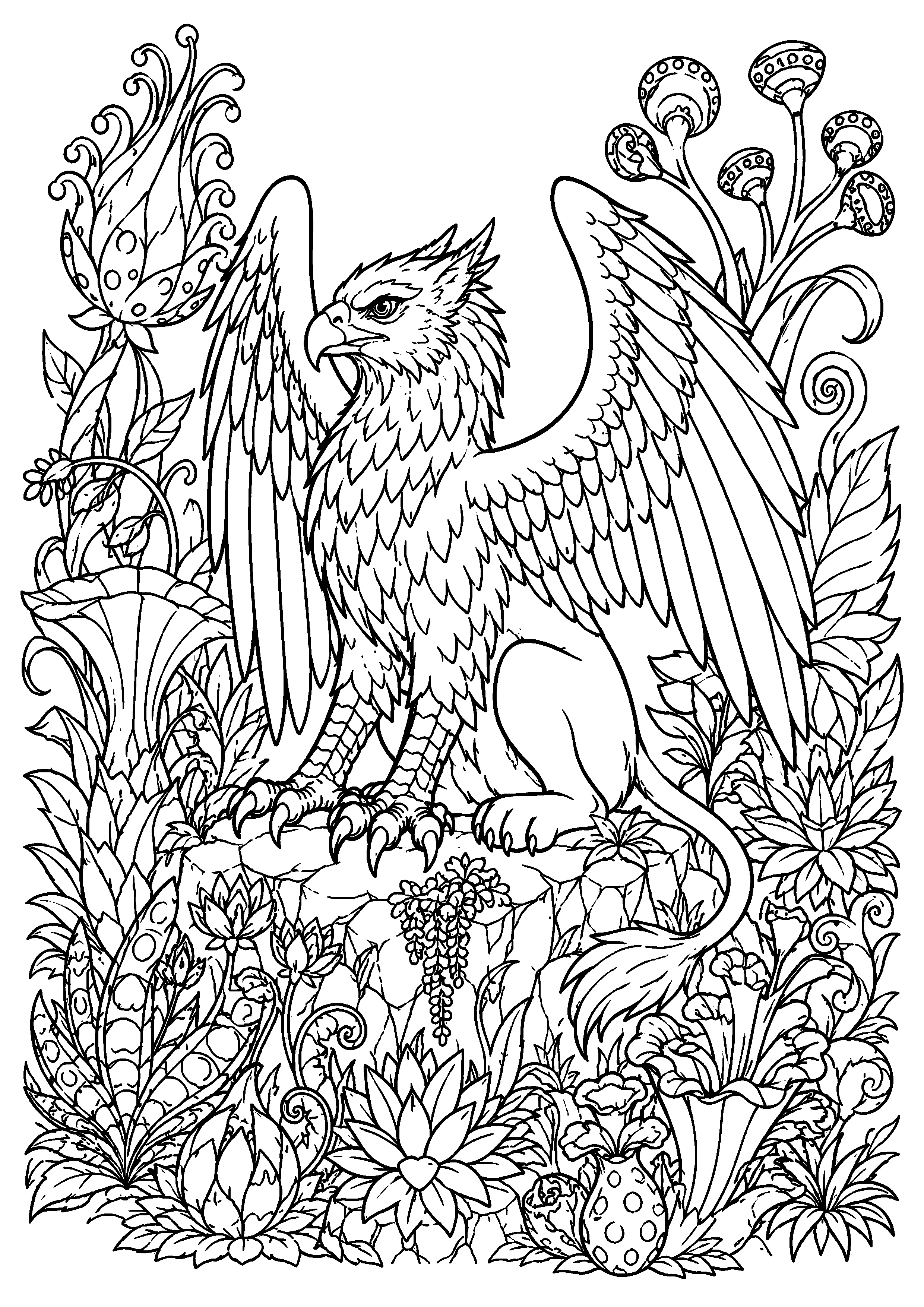 Coloriage Griffon à imprimer – dessin n°18