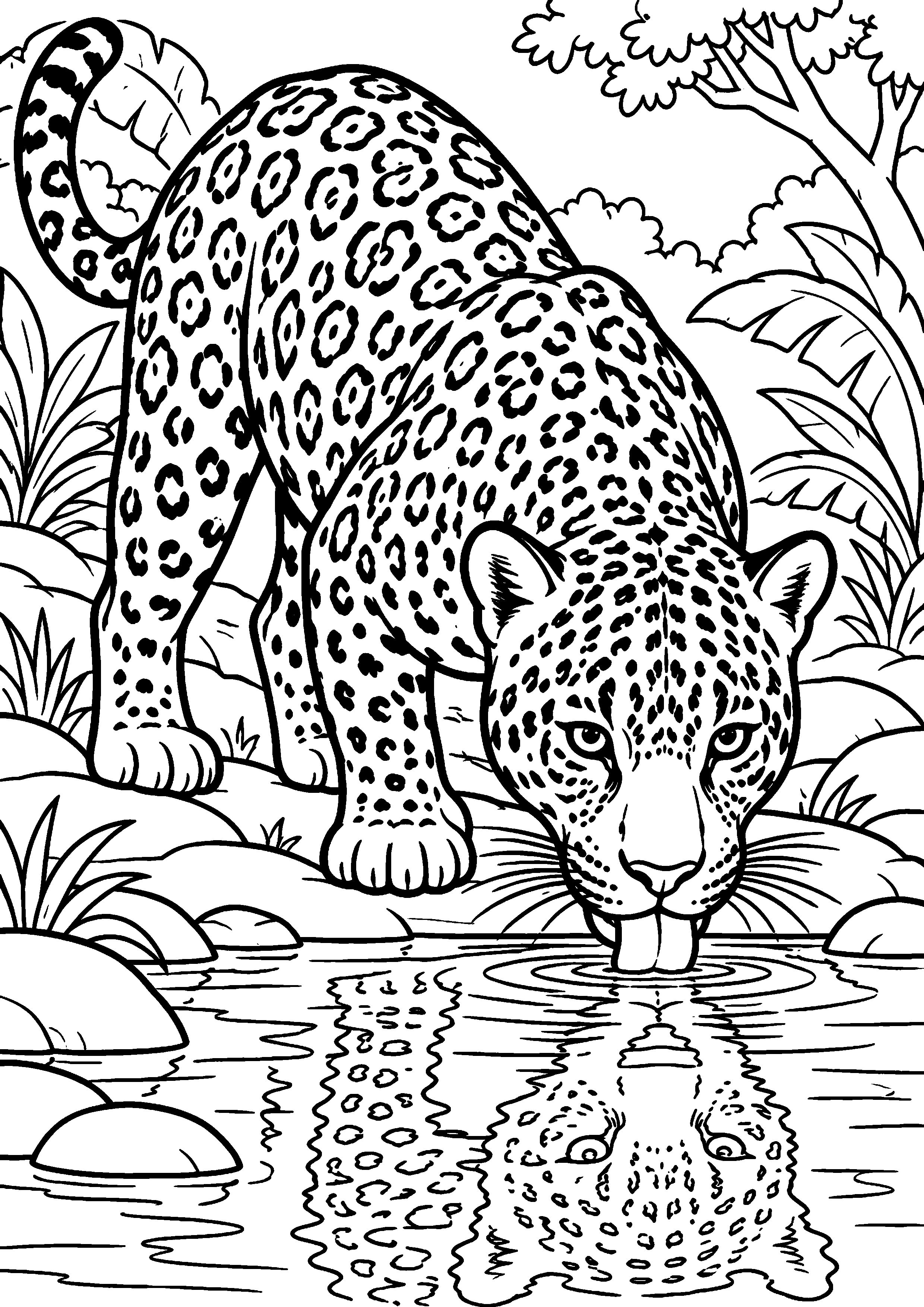 Coloriage jaguar bébé découvrant une grande feuille à imprimer