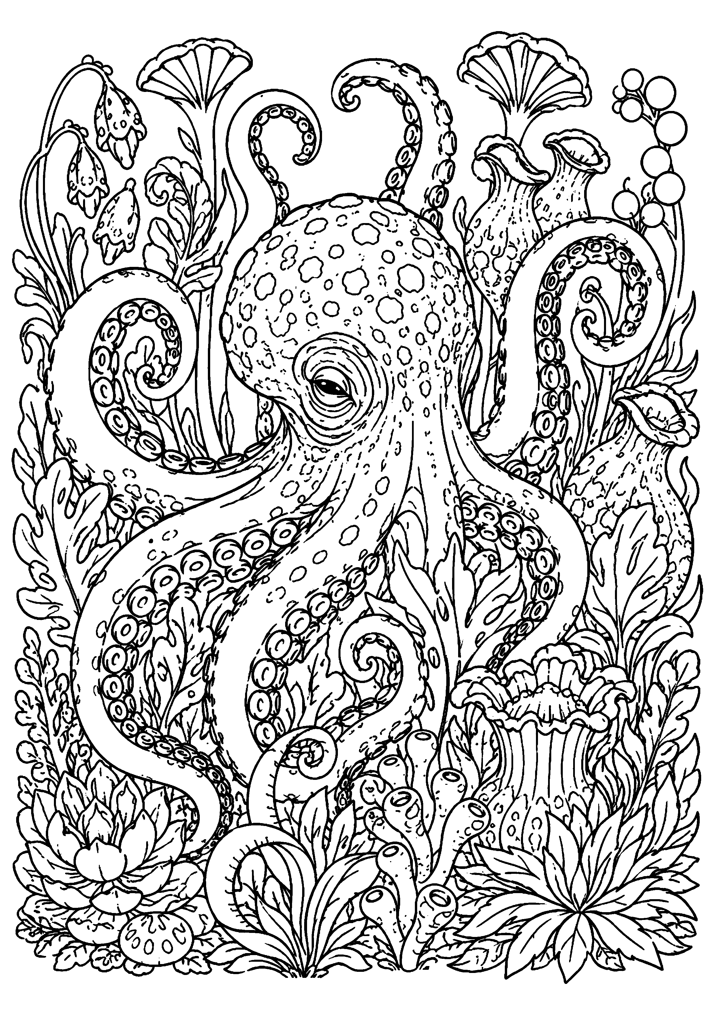 Coloriage Kraken à imprimer – dessin n°18