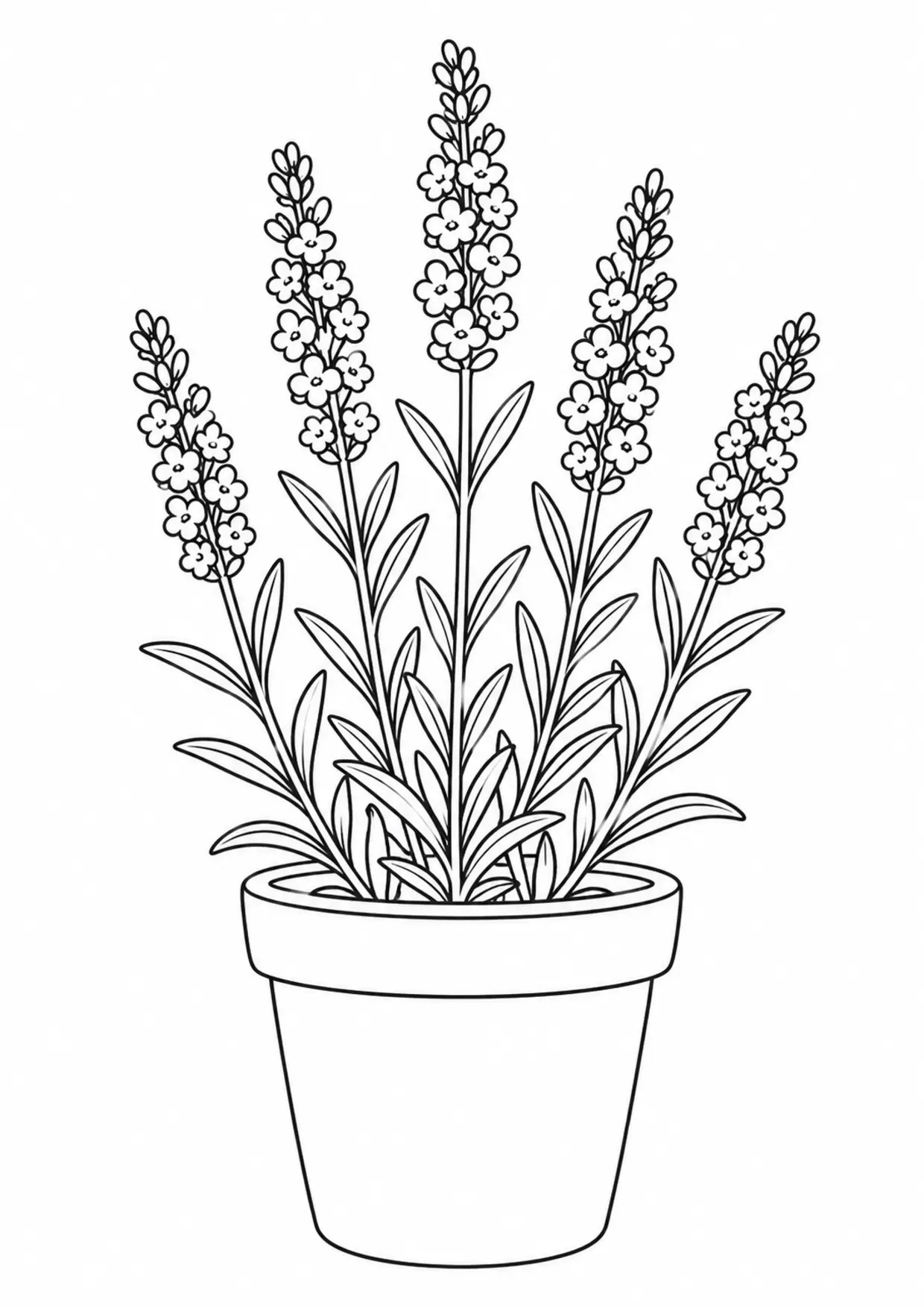 Coloriage lavande : pot, modèle 04