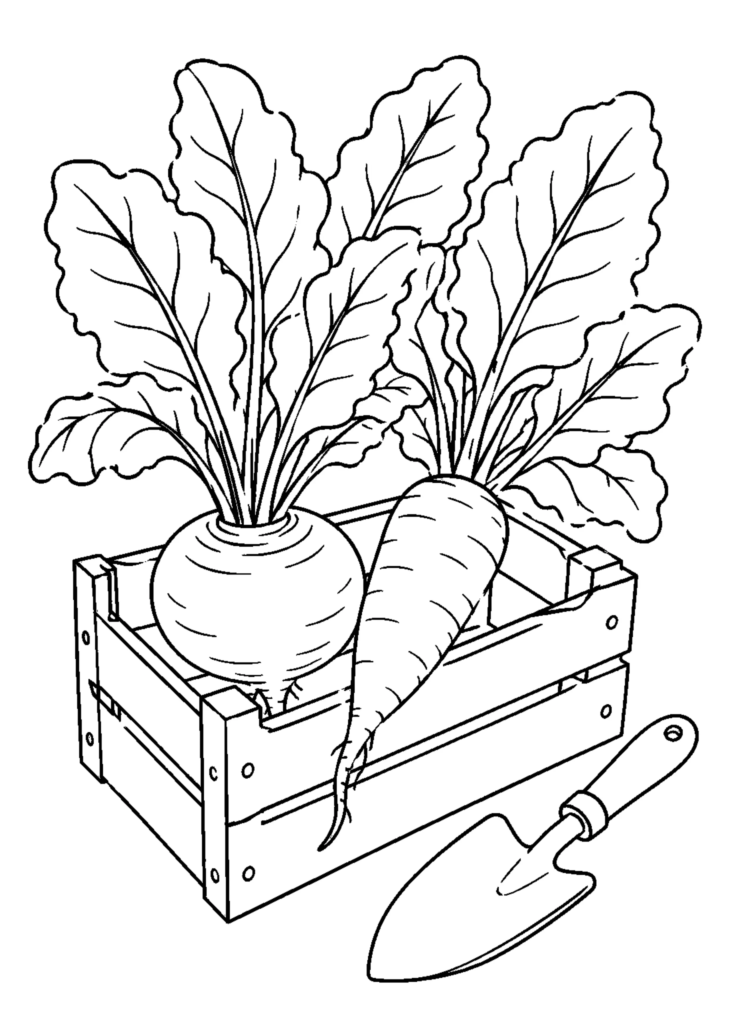Coloriage Légumes rigolos à imprimer – dessin n°11
