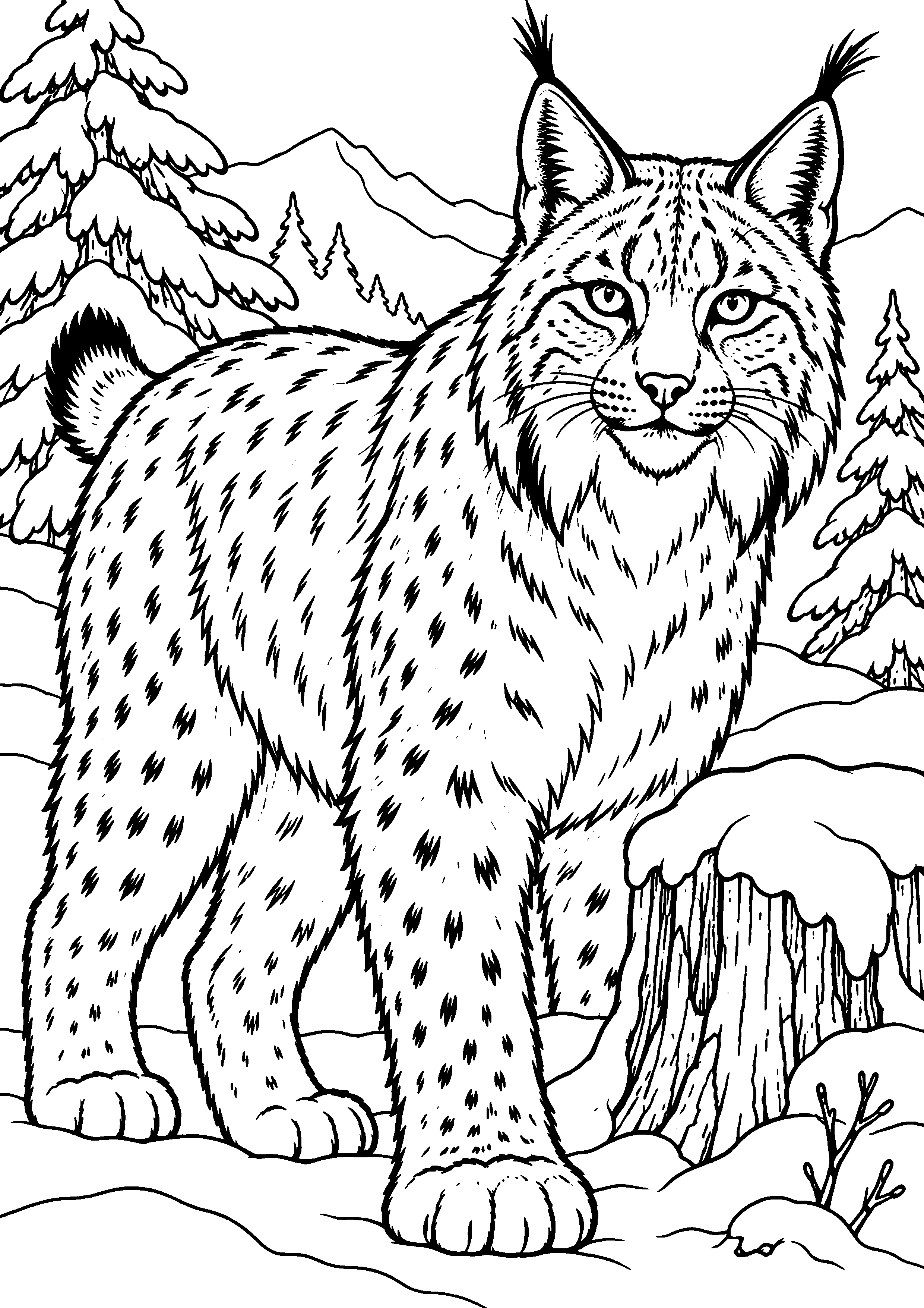 Grand coloriage d’un lynx reniflant des fleurs sauvages, contours noirs nets sur fond blanc