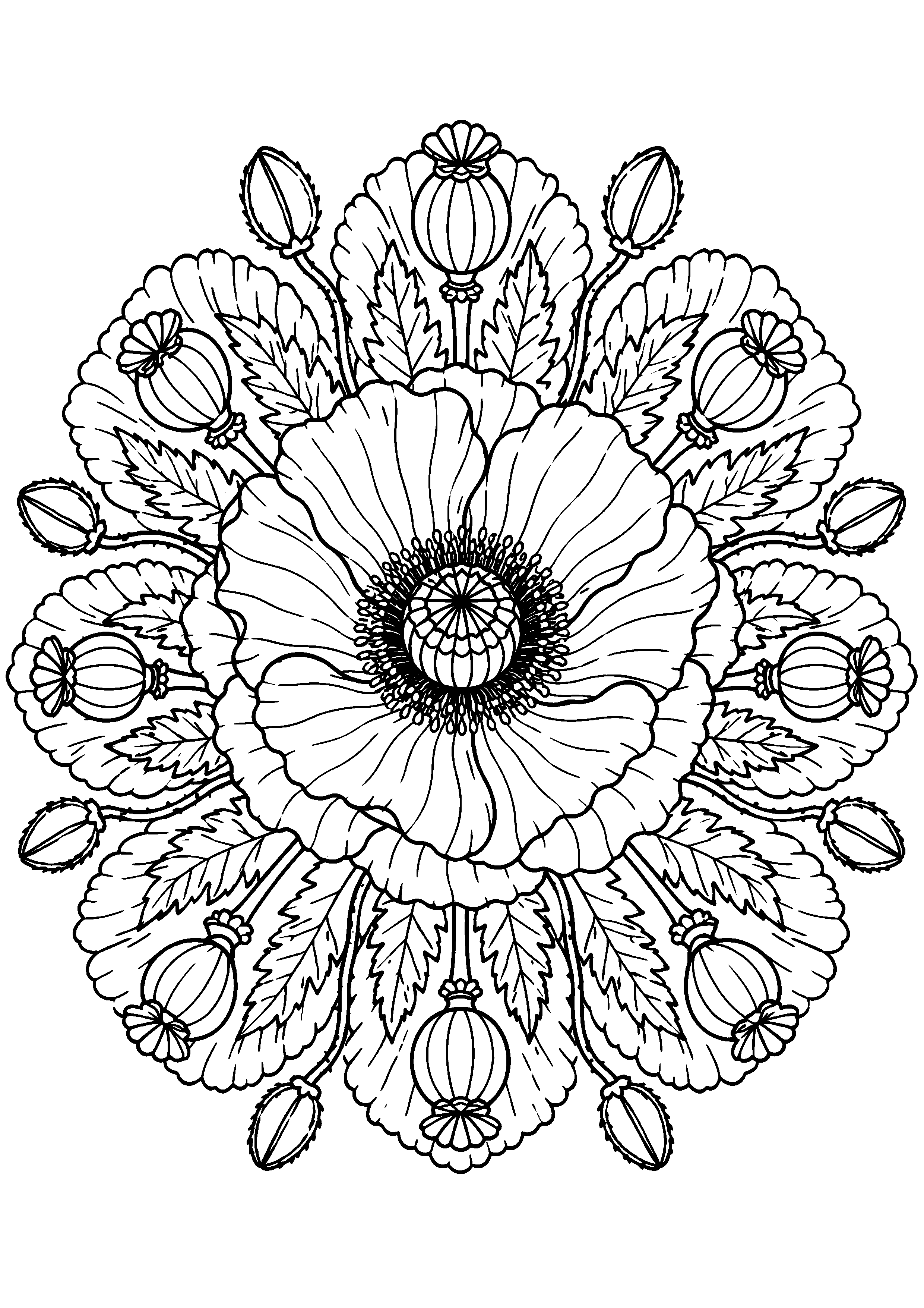 Coloriage mandala floral à imprimer – dessin n°10