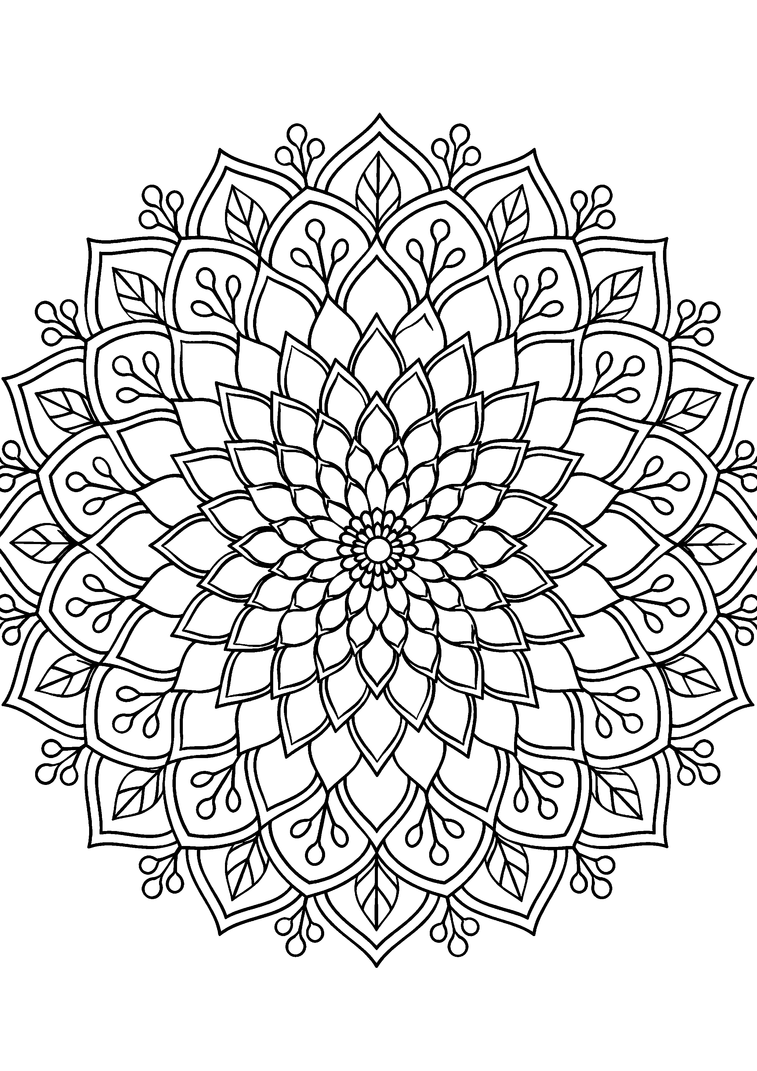 Coloriage mandala floral à imprimer – dessin n°13