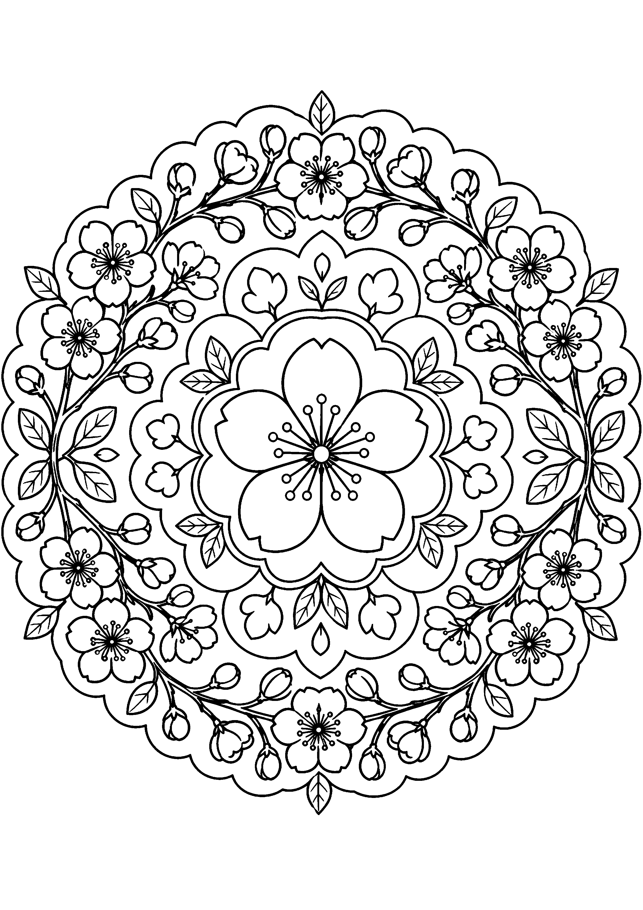 Coloriage mandala floral à imprimer – dessin n°14