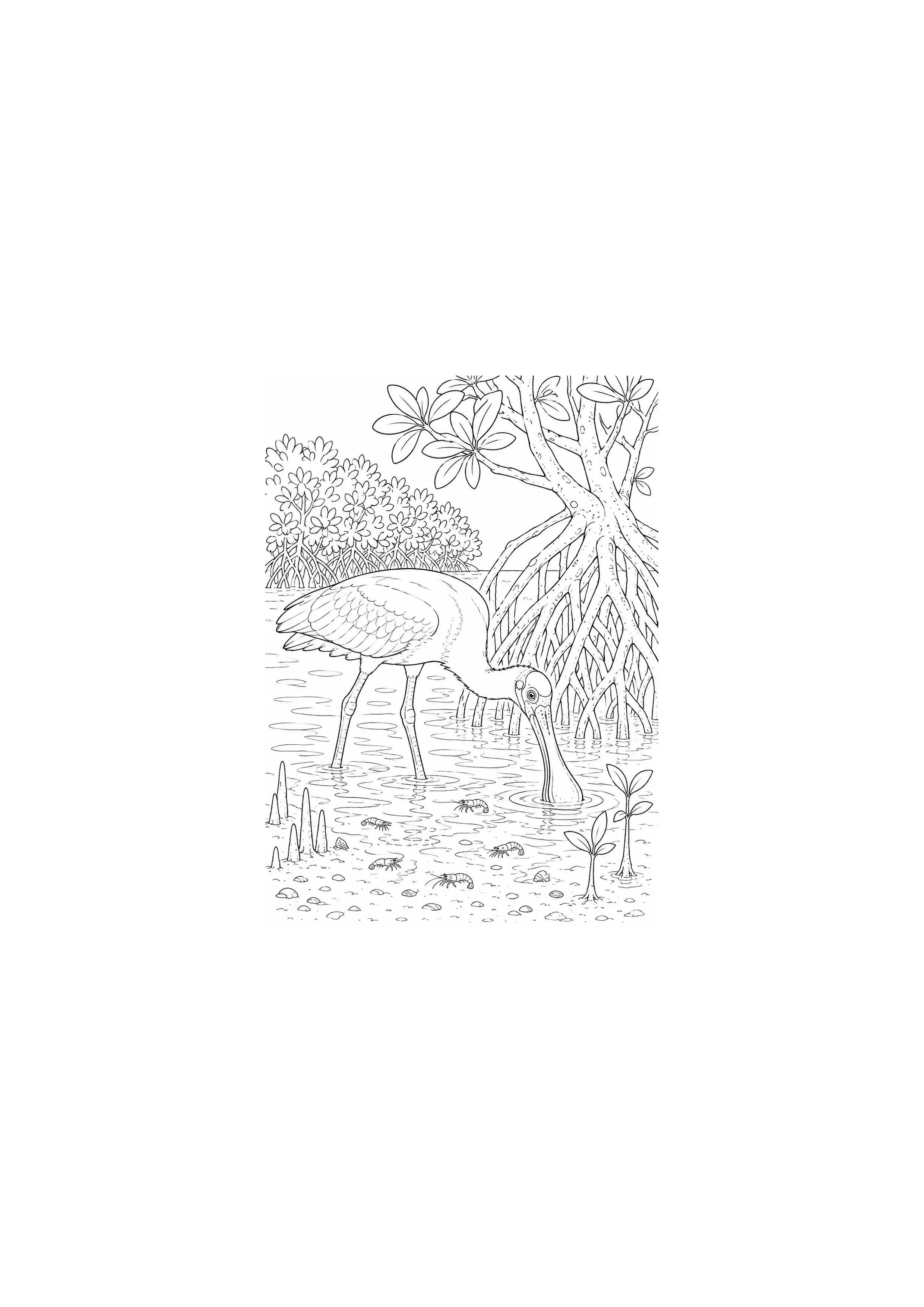 Coloriage Mangrove à imprimer – dessin 3