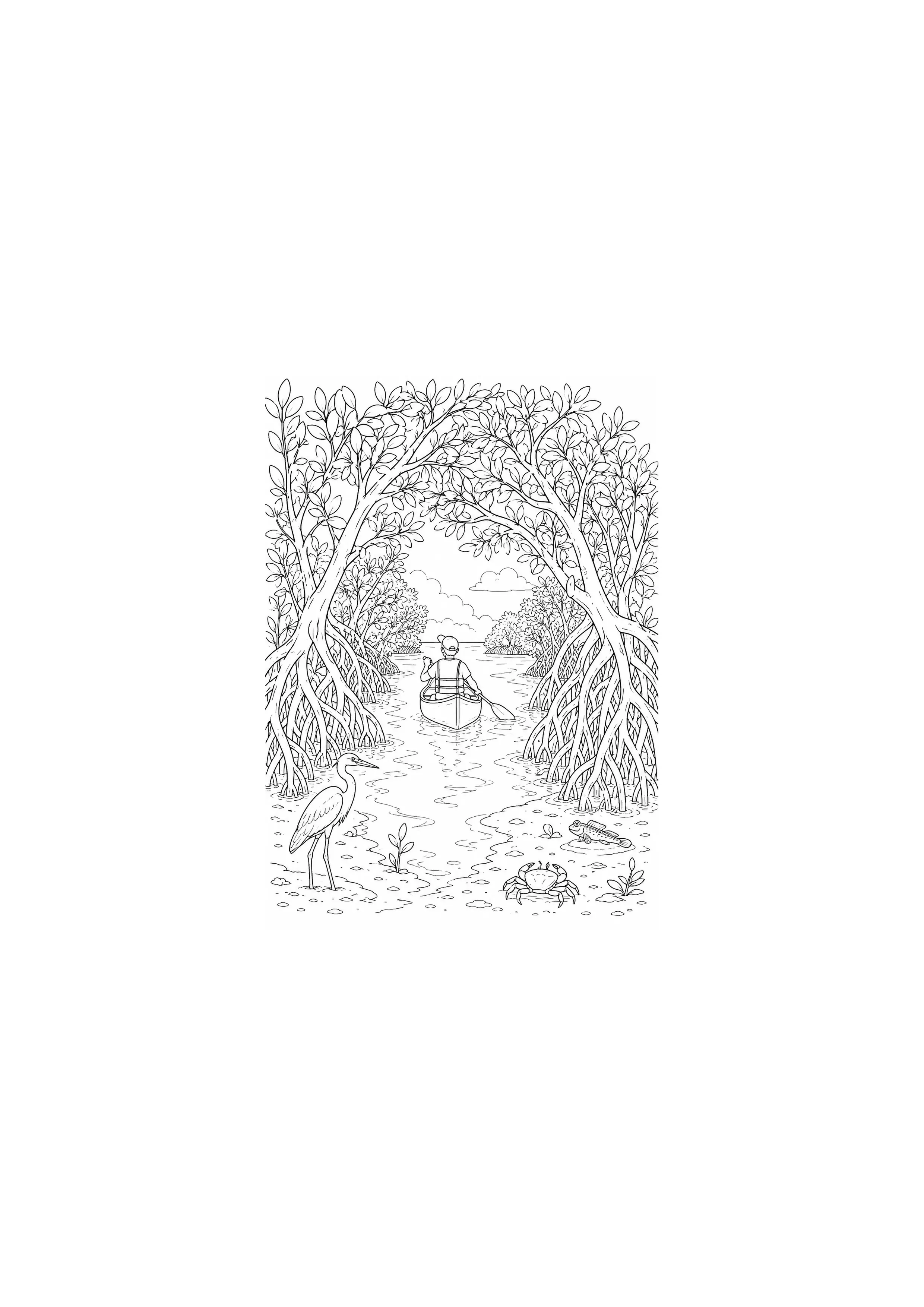 Coloriage Mangrove à imprimer – dessin n°15