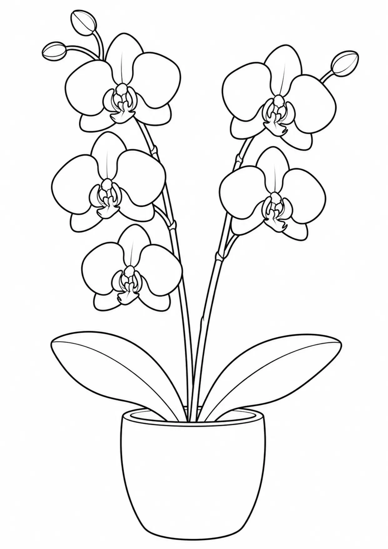 Coloriage orchidée : duo, modèle 01