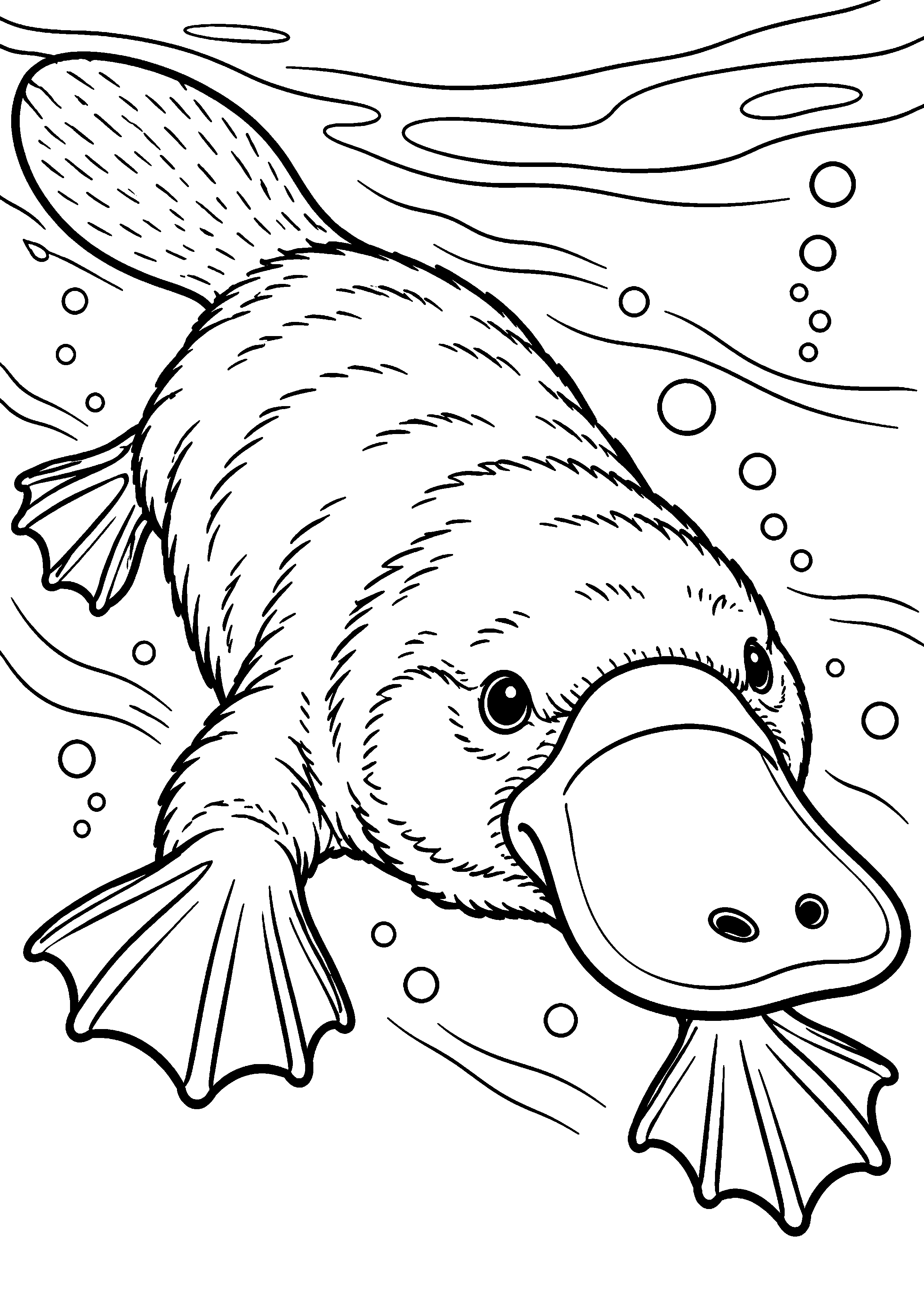 Coloriage ornithorynque nageant vers l’avant au milieu des bulles à imprimer