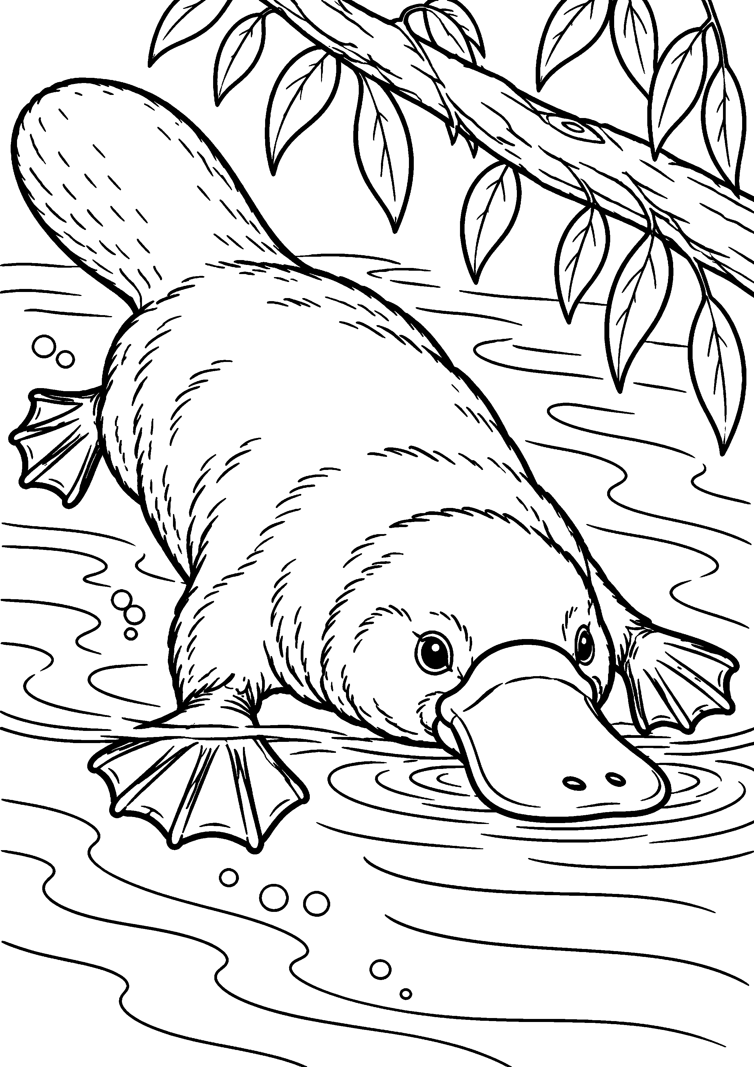Grand coloriage d’un ornithorynque nageant sous une branche penchée, contours noirs nets sur fond blanc