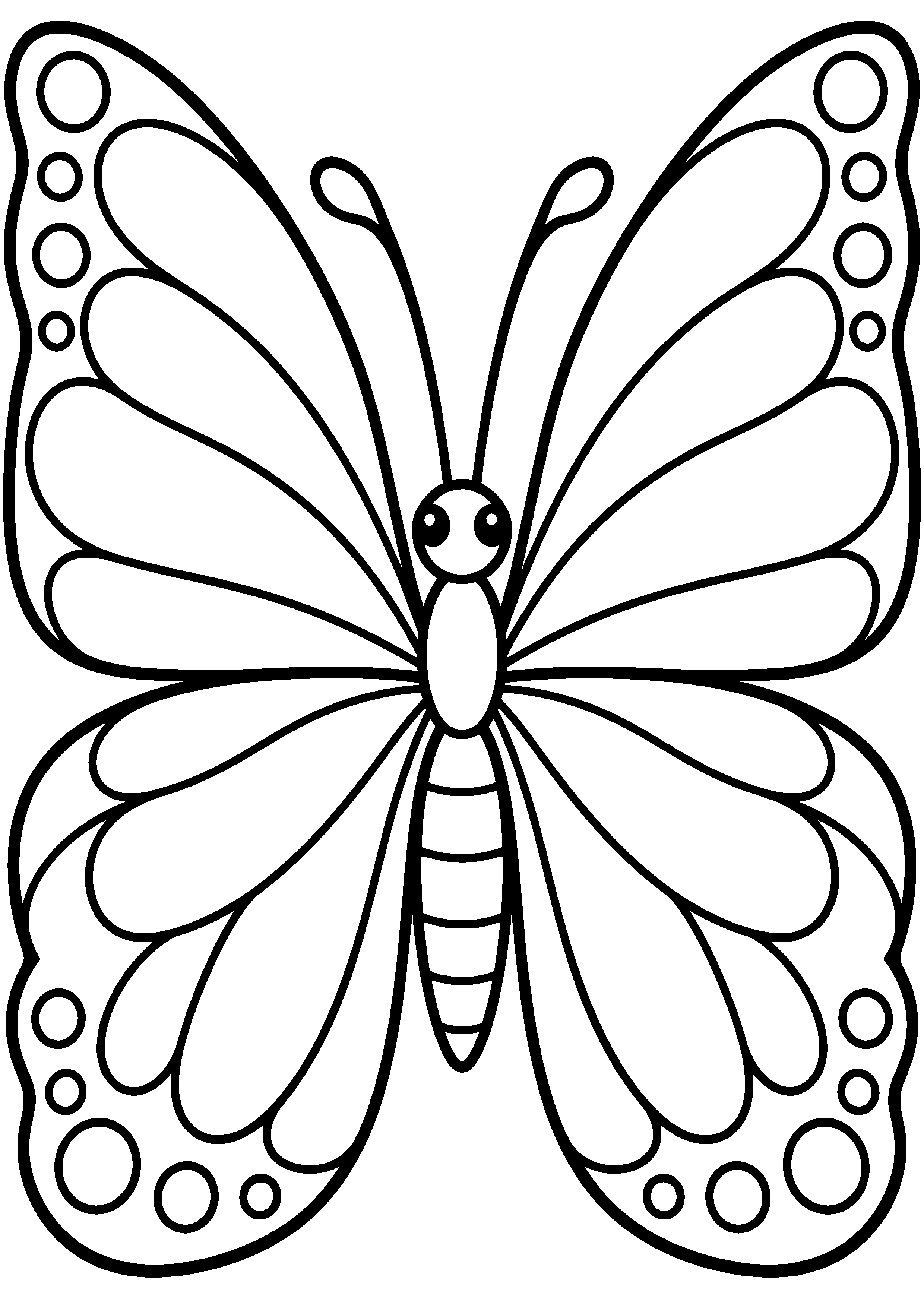 Coloriage en noir et blanc représentant grand papillon simple aux ailes en larges zones, en grand format A4