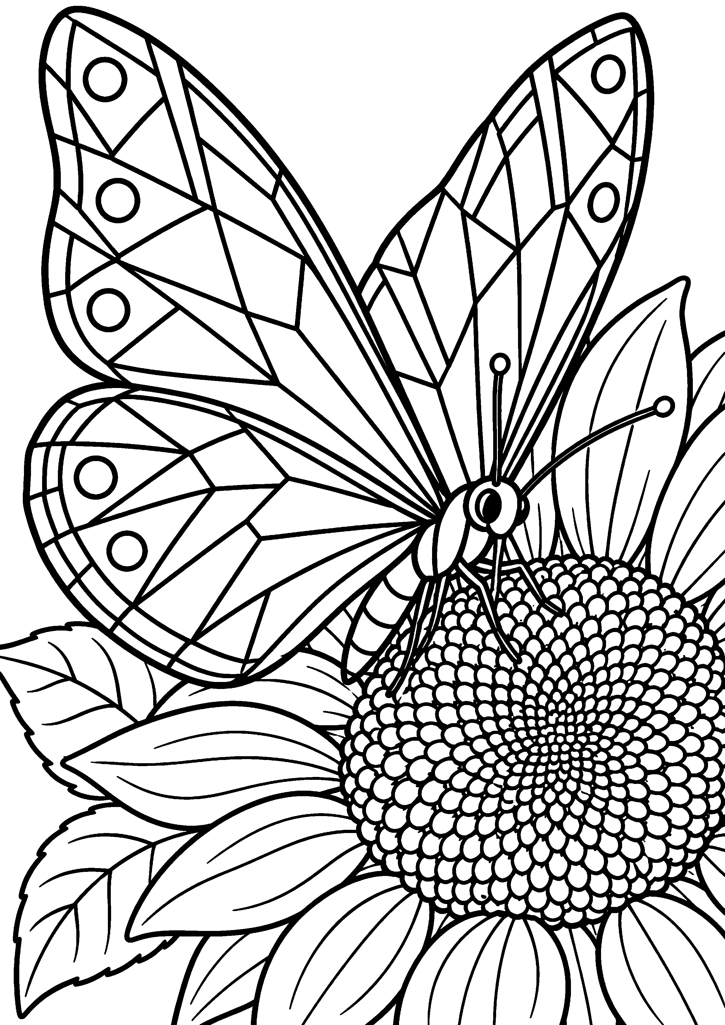 Coloriage en noir et blanc représentant papillon aux ailes géométriques posé sur un tournesol, en grand format A4