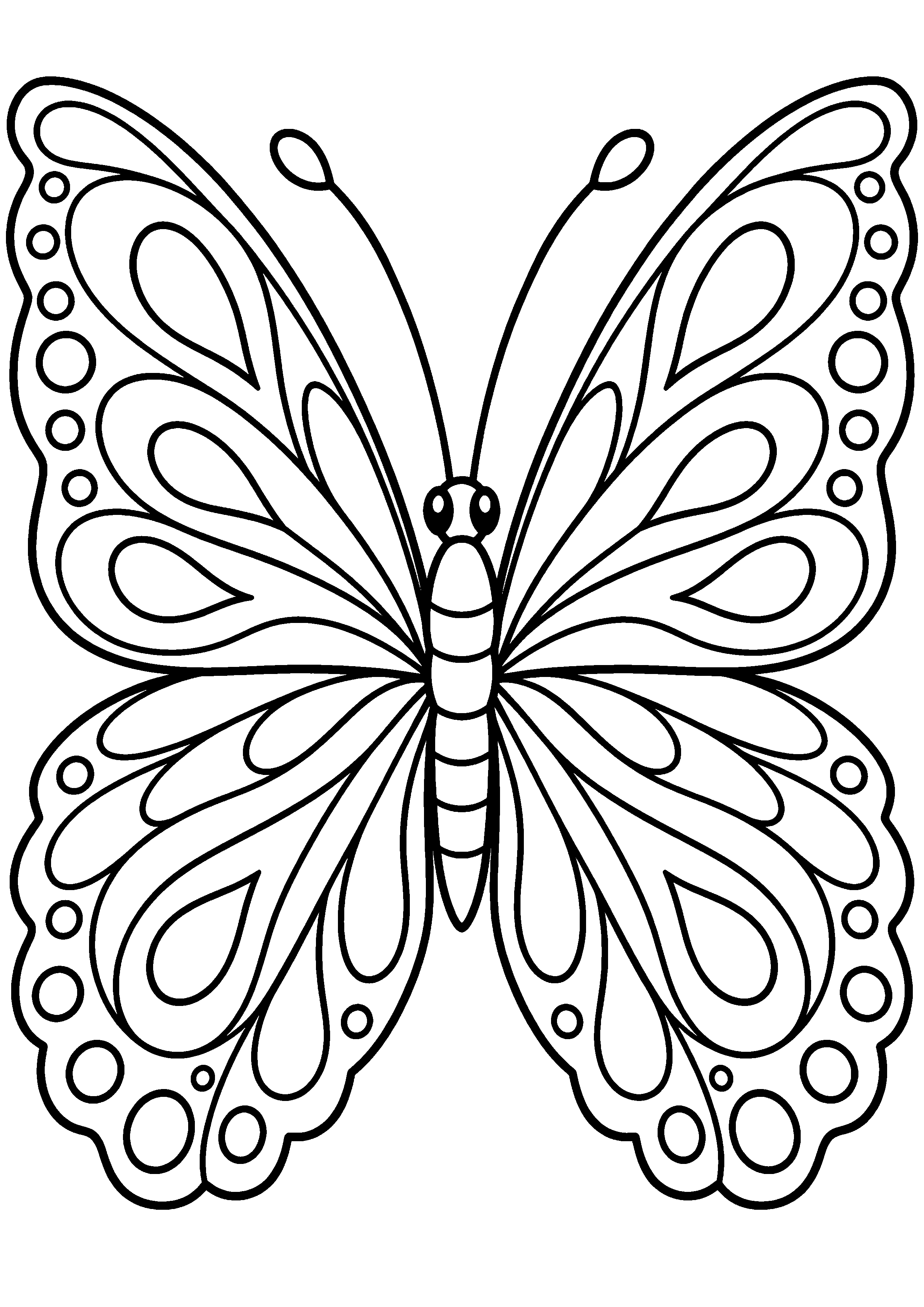 Coloriage en noir et blanc représentant papillon aux ailes ouvertes décorées de gouttes symétriques, en grand format A4