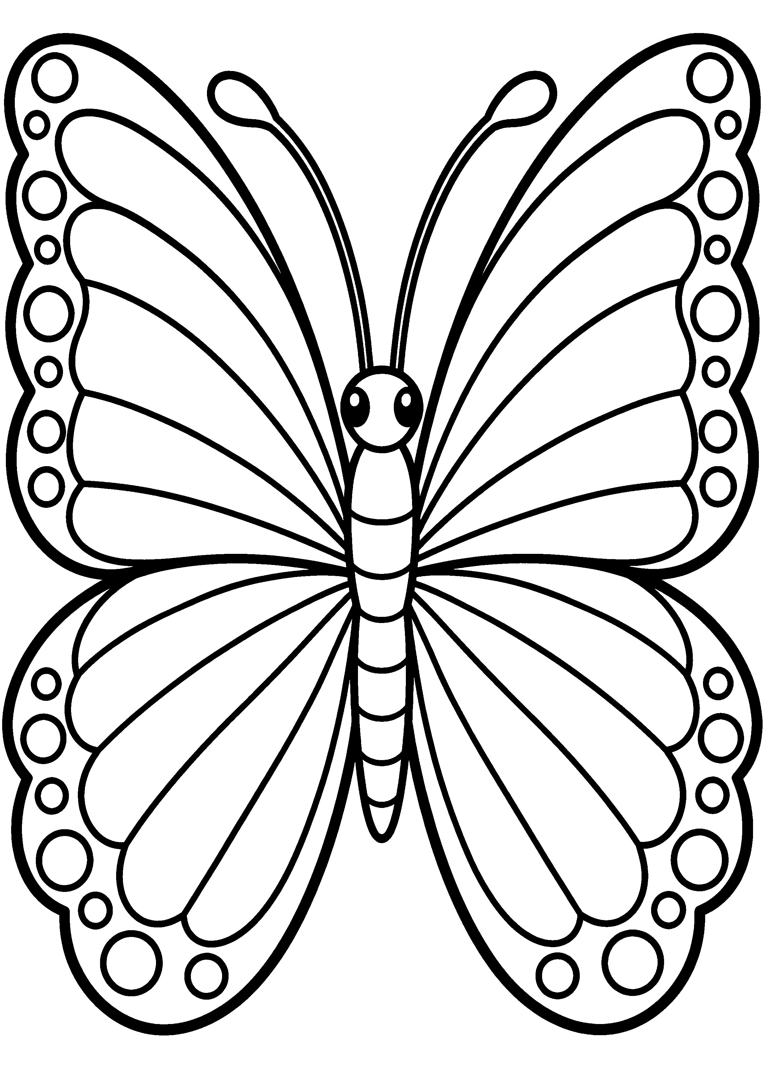 Coloriage en noir et blanc représentant papillon aux ailes rayées avec bordures rondes, en grand format A4