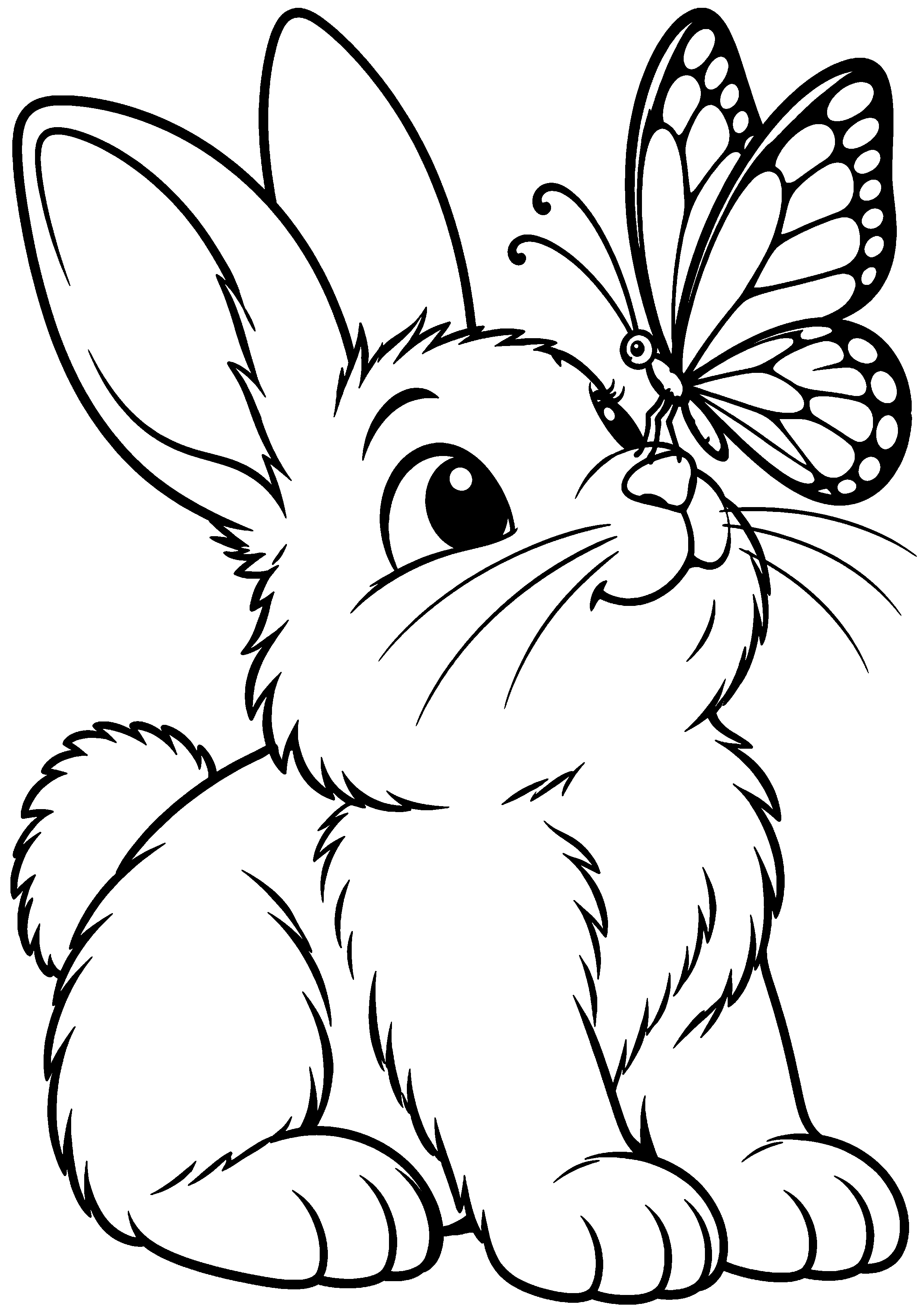 Coloriage en noir et blanc représentant papillon posé sur le nez d'un lapin, en grand format A4