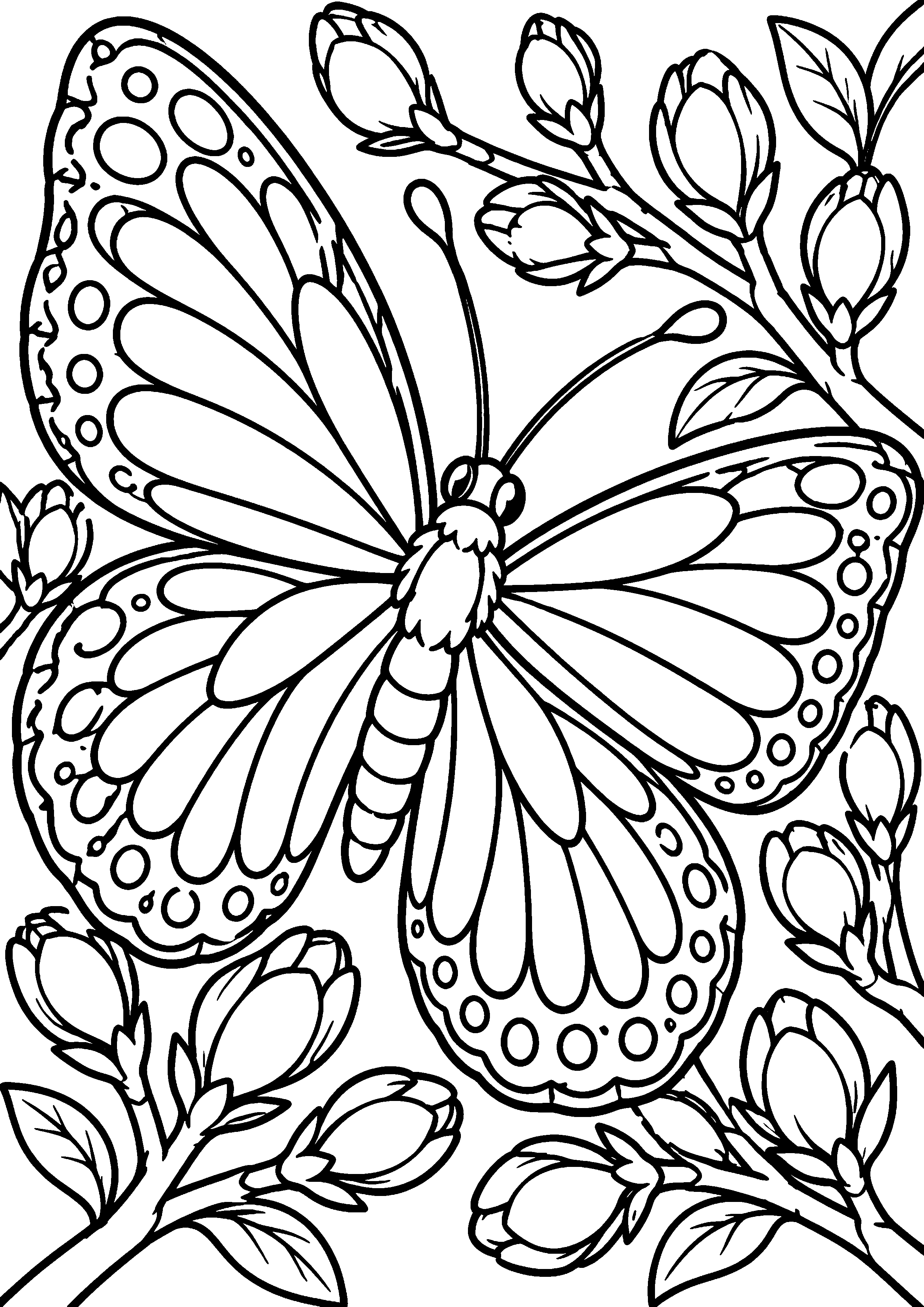 Coloriage en noir et blanc représentant papillon printanier entouré de bourgeons, en grand format A4