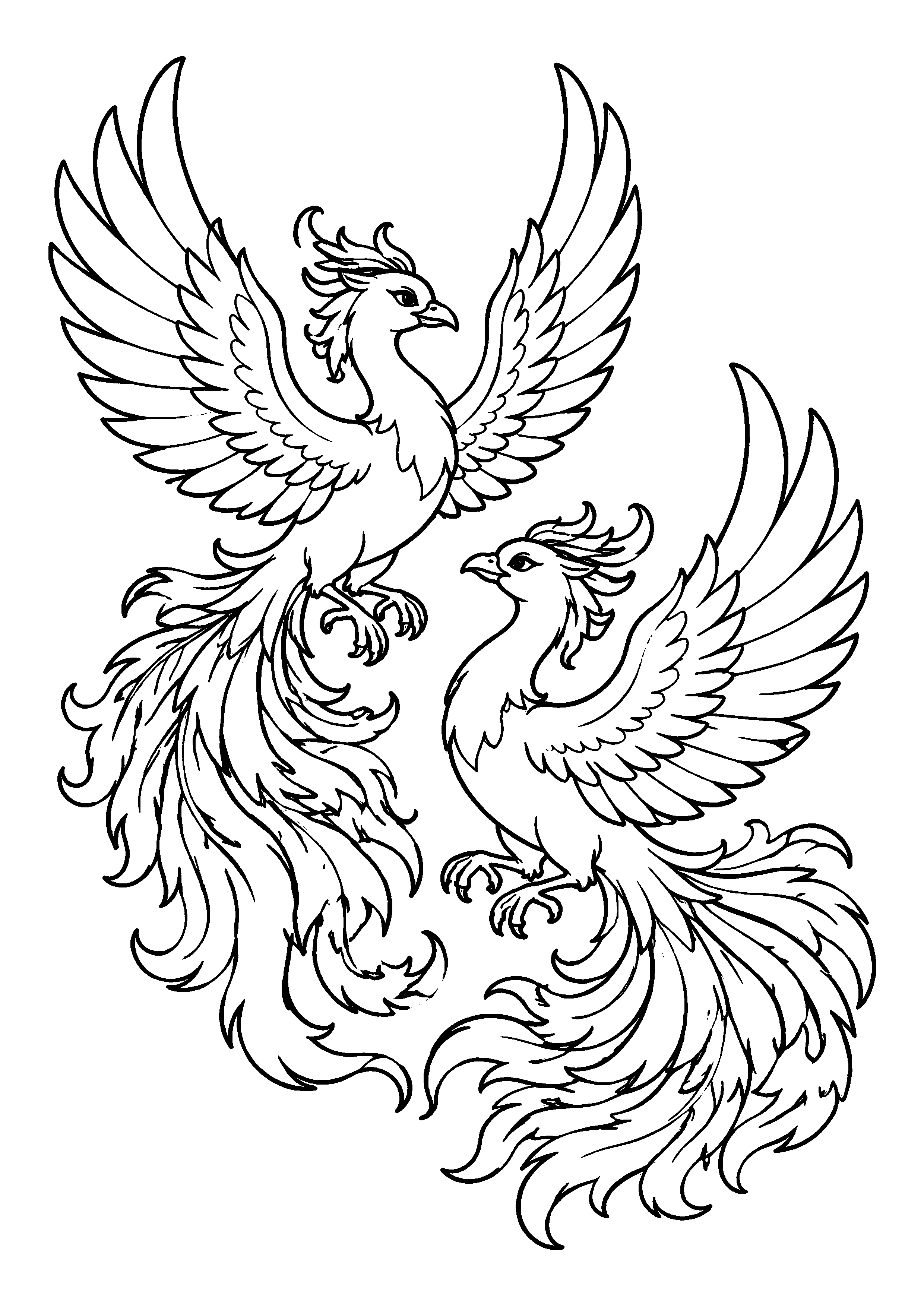 Coloriage Phénix à imprimer – dessin n°15