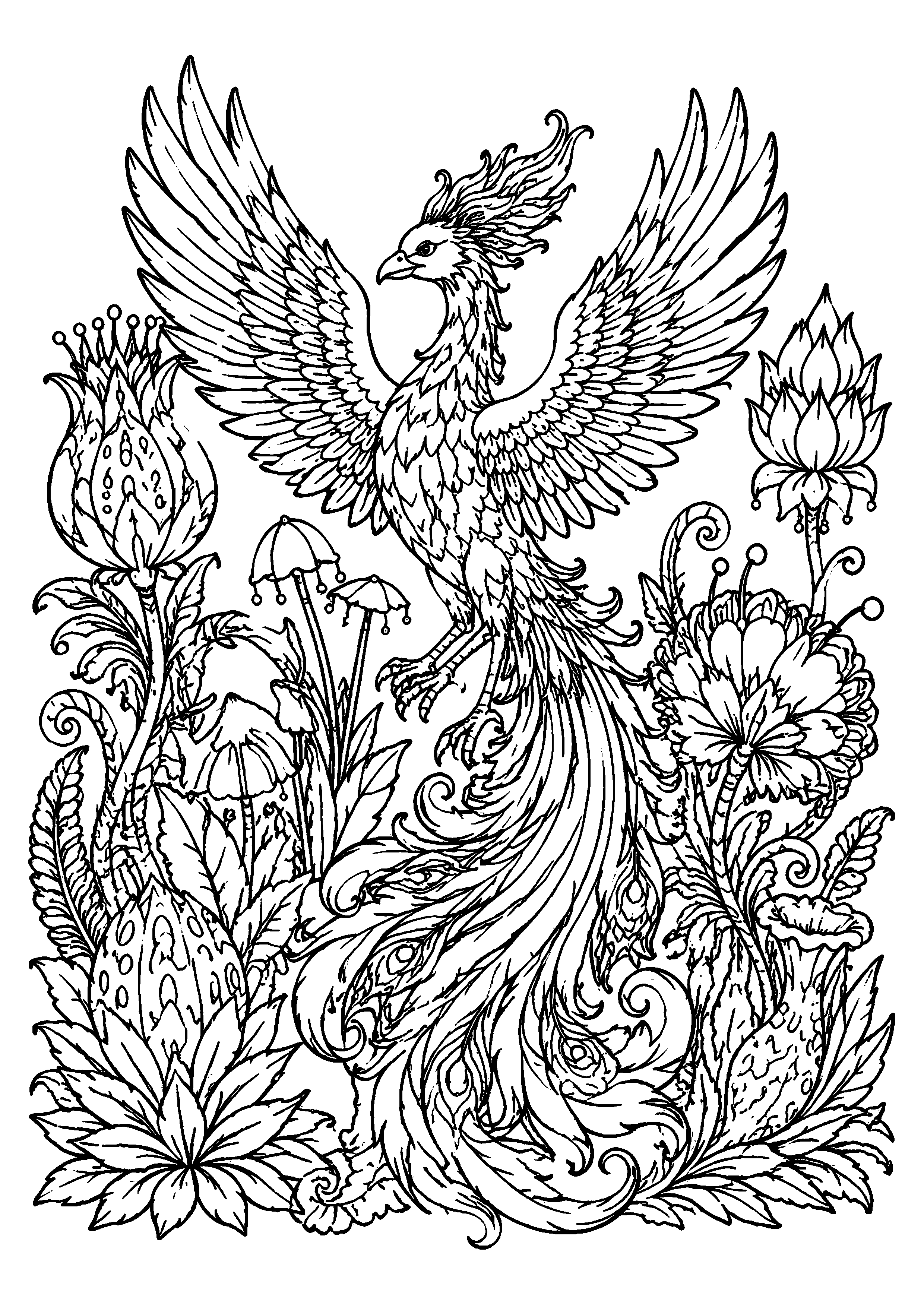 Coloriage Phénix à imprimer – dessin n°18