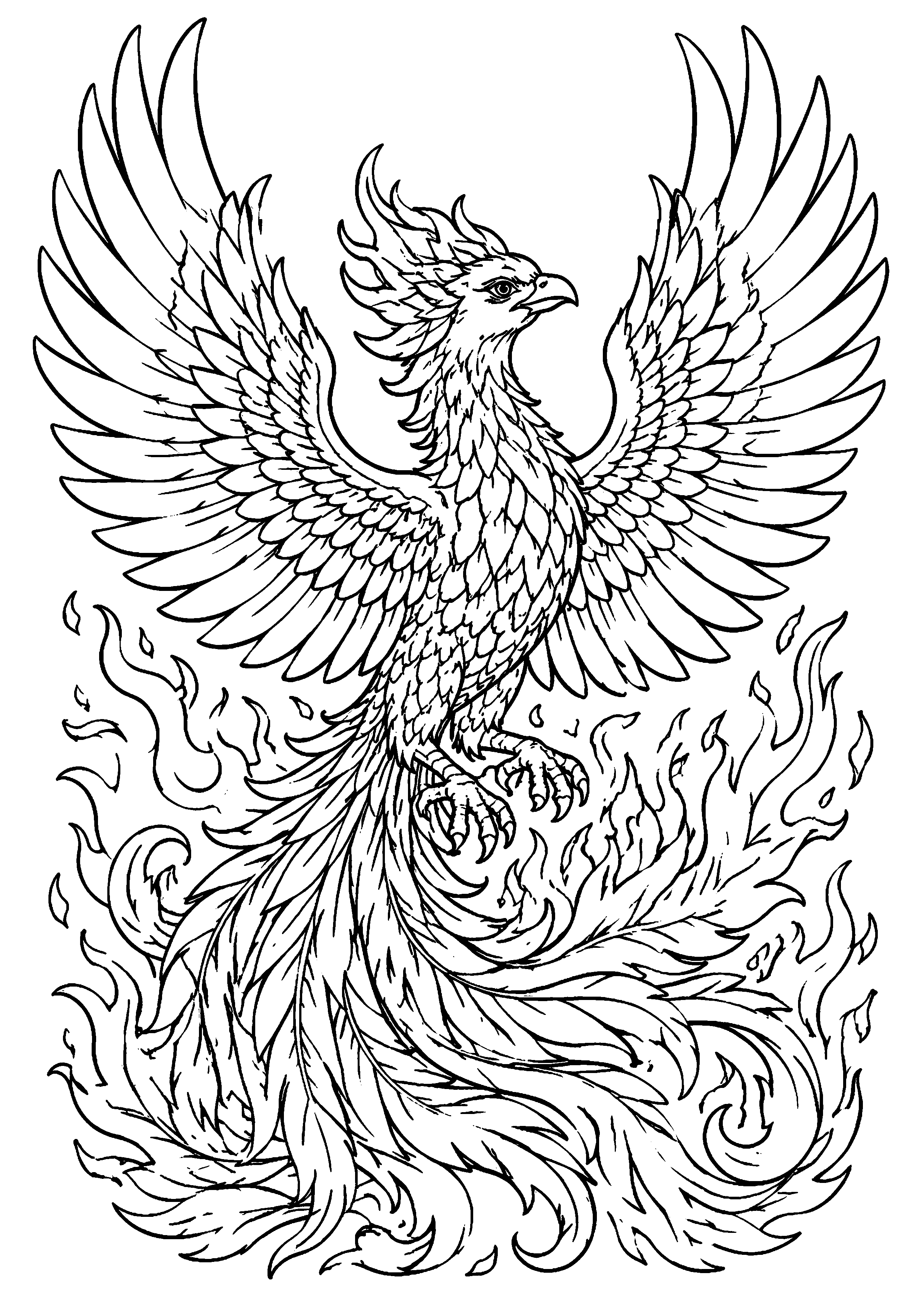 Coloriage Phénix à imprimer – dessin n°20