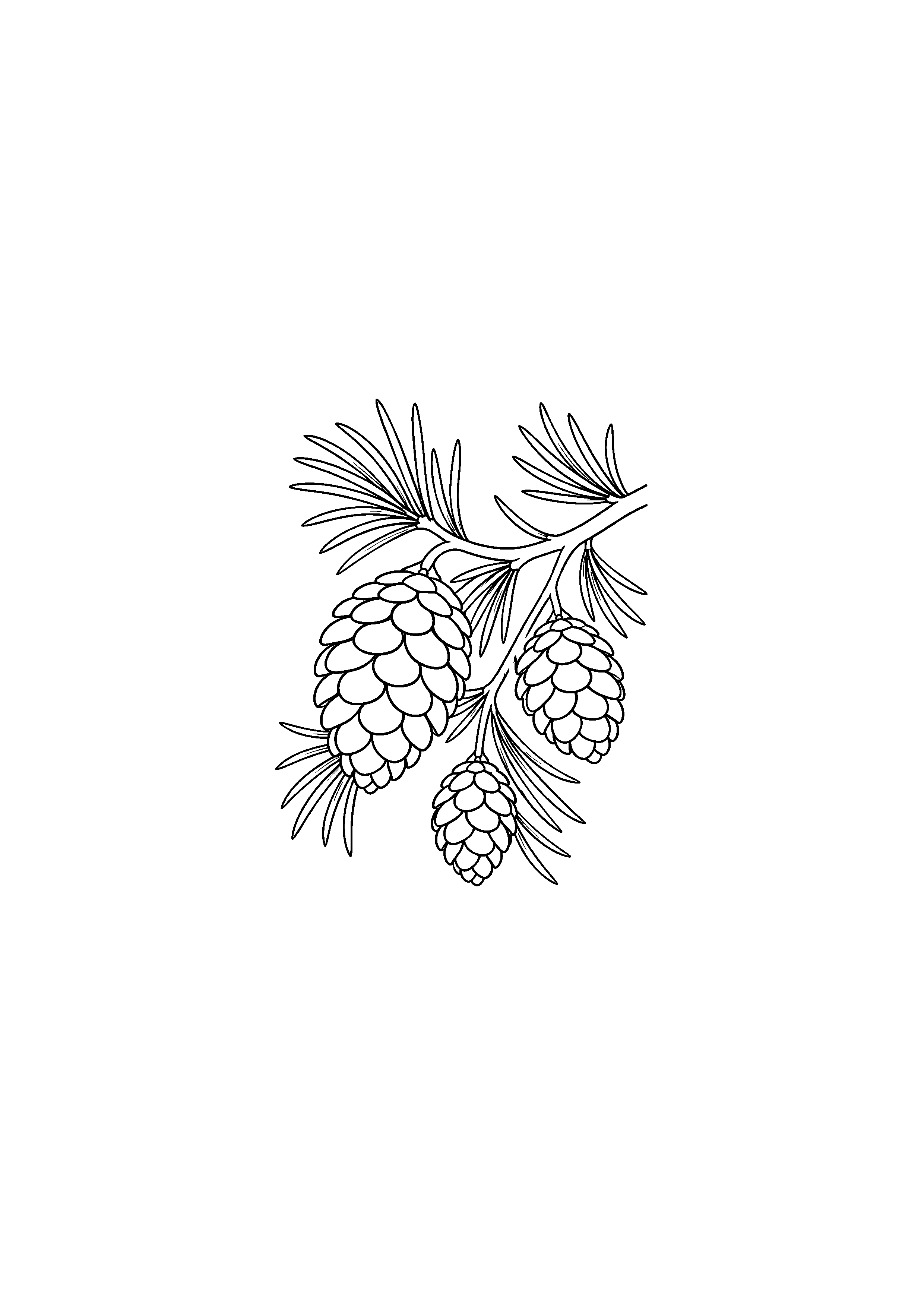 Trois pommes de pin posées sur des aiguilles