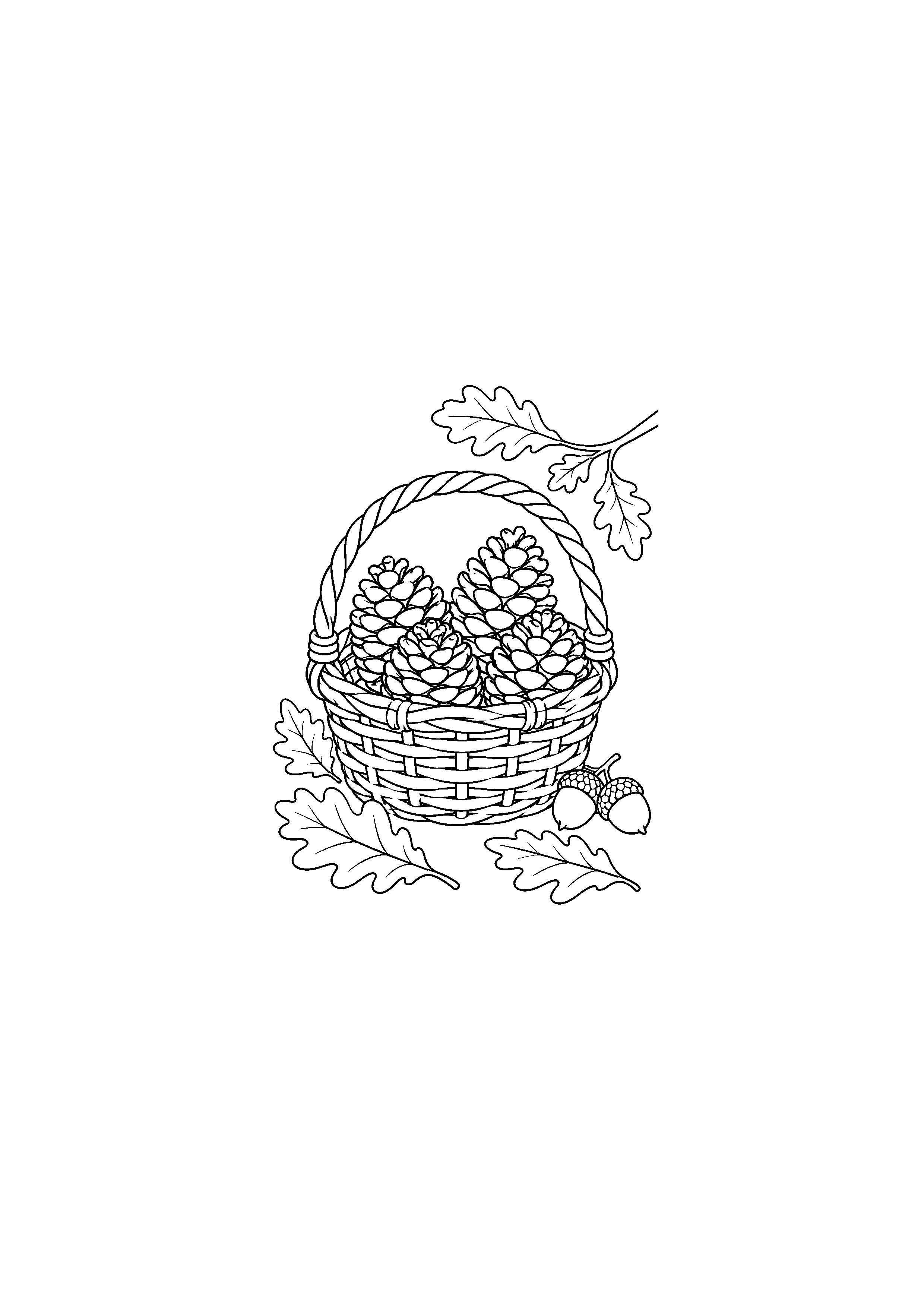 Panier tressé rempli de pommes de pin