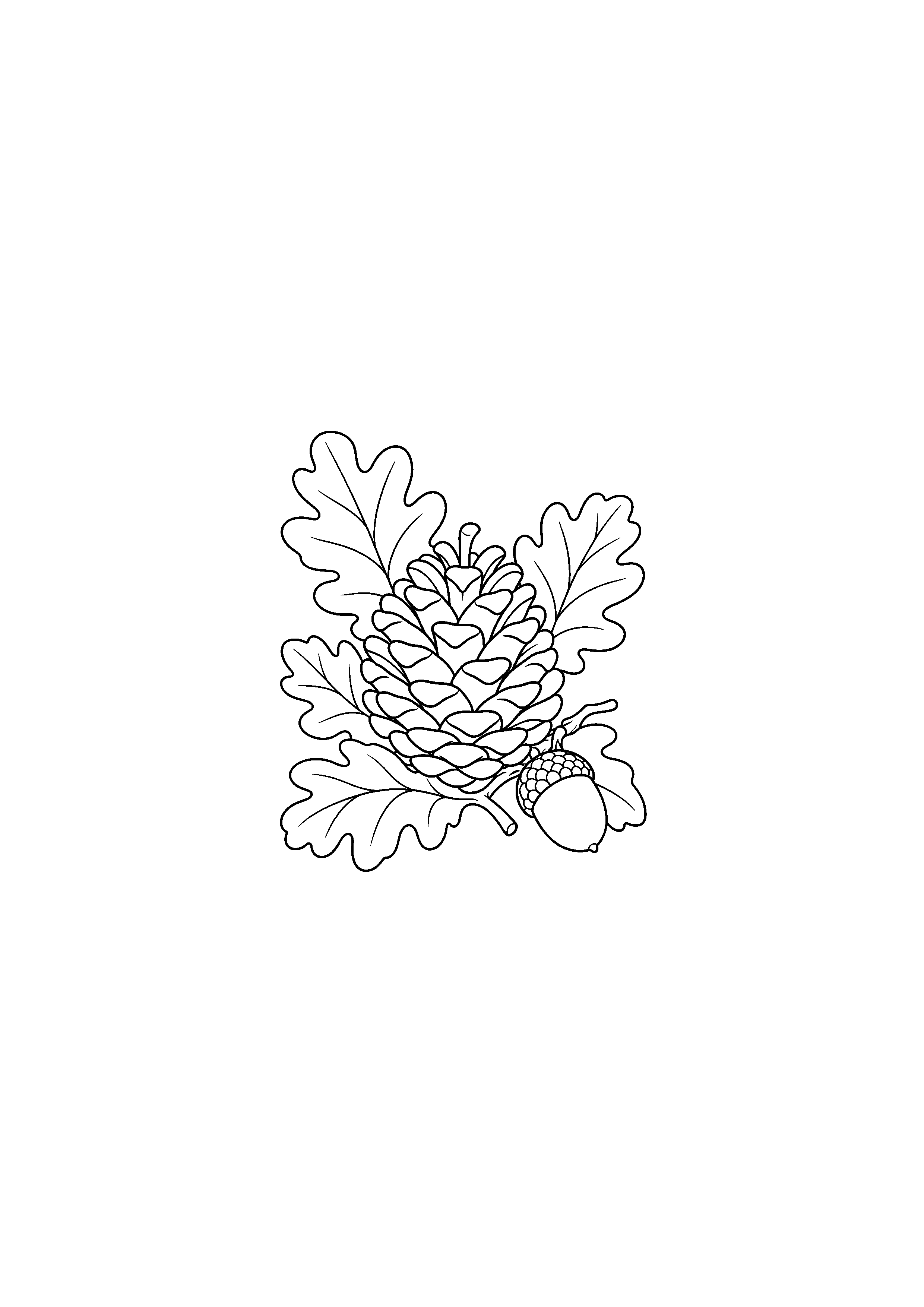 Pomme de pin entourée de feuilles et d’un gland