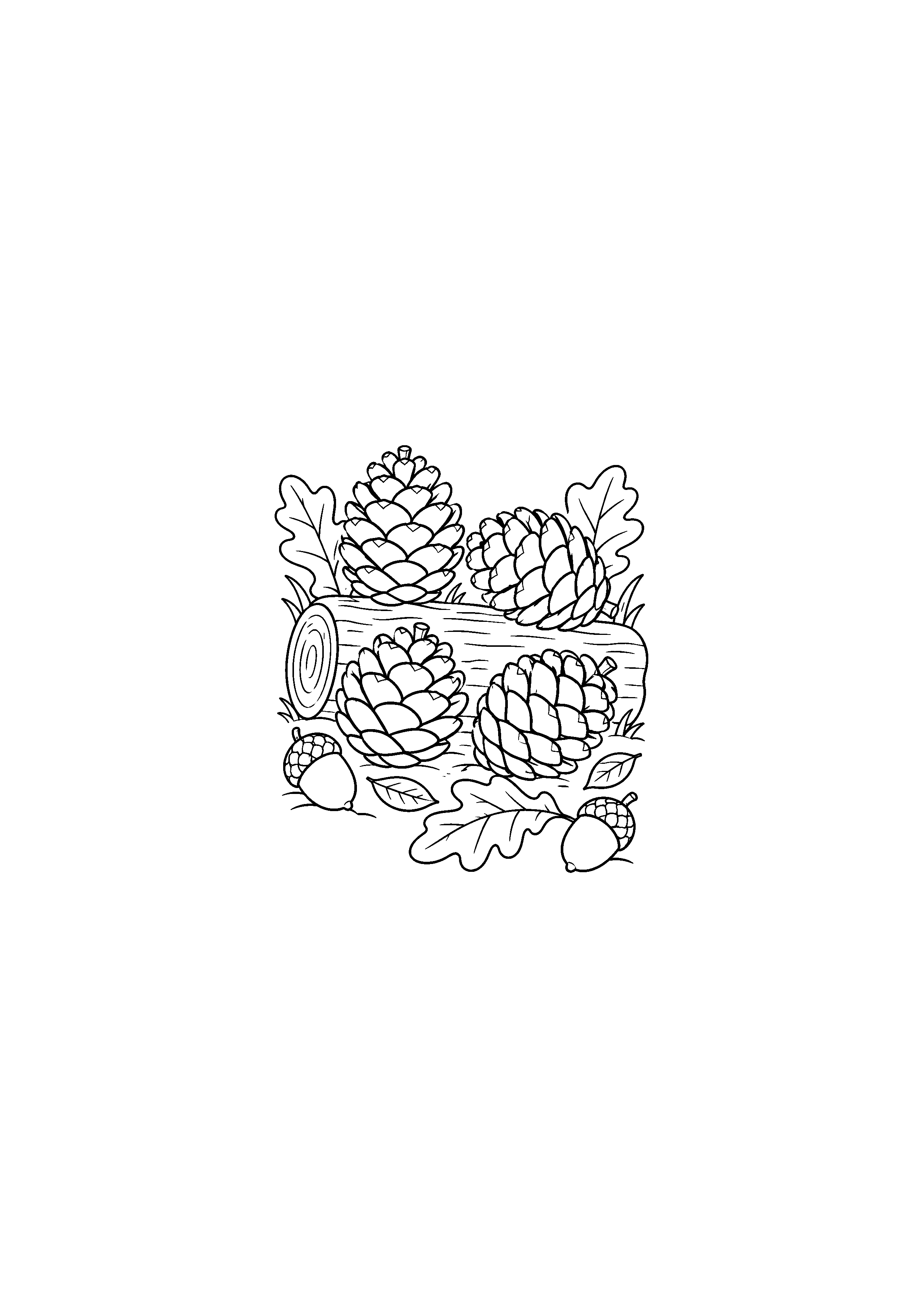 Quatre pommes de pin avec feuilles d’automne
