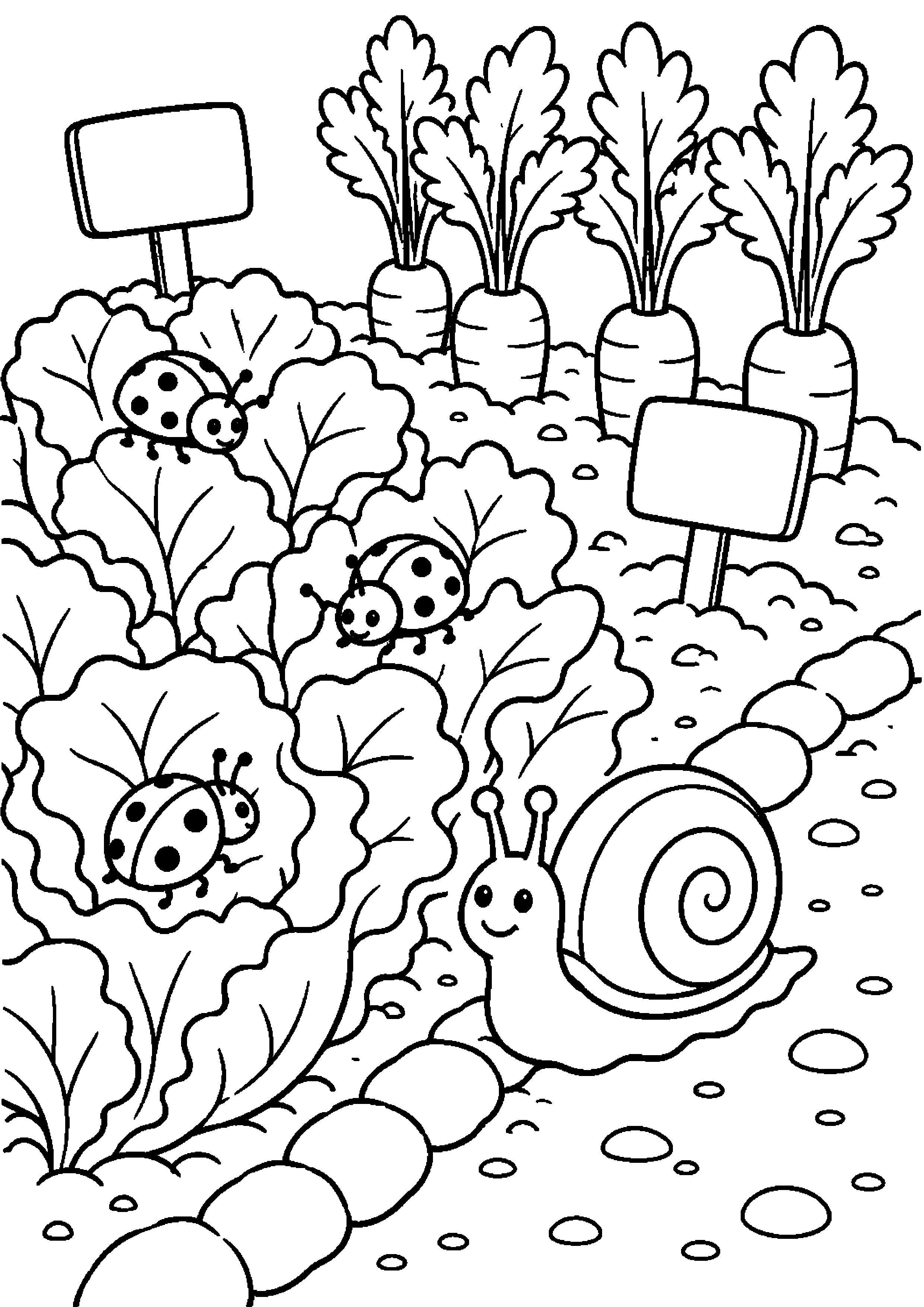 Coloriage potager à imprimer – dessin n°11