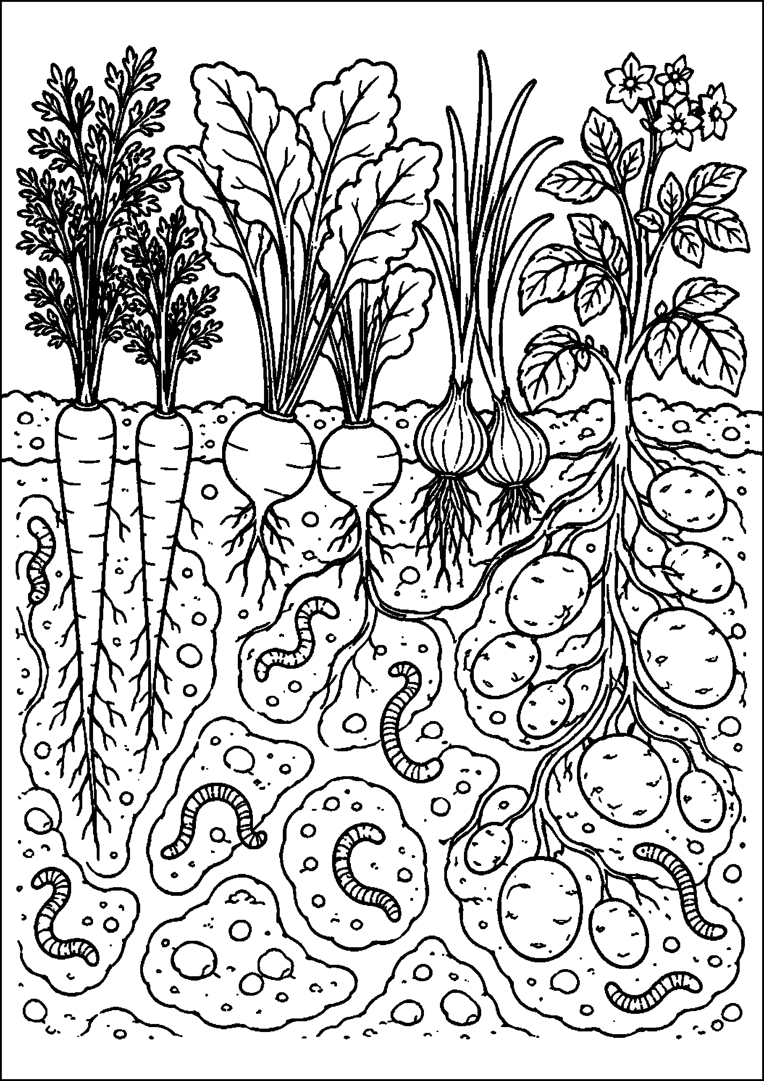 Coloriage potager à imprimer – dessin n°18