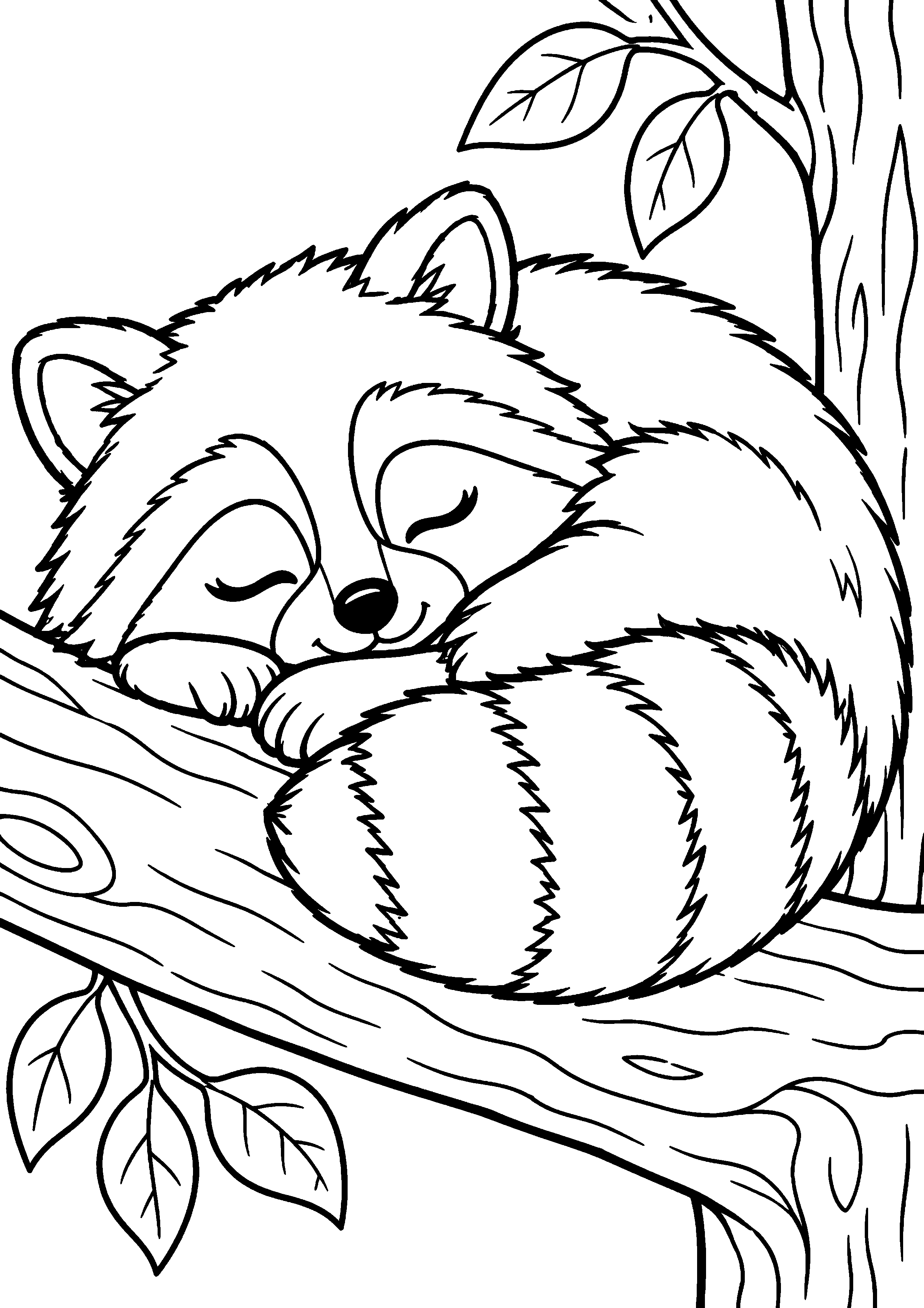 Grand coloriage d’un raton laveur reniflant des fleurs sauvages, contours noirs nets sur fond blanc
